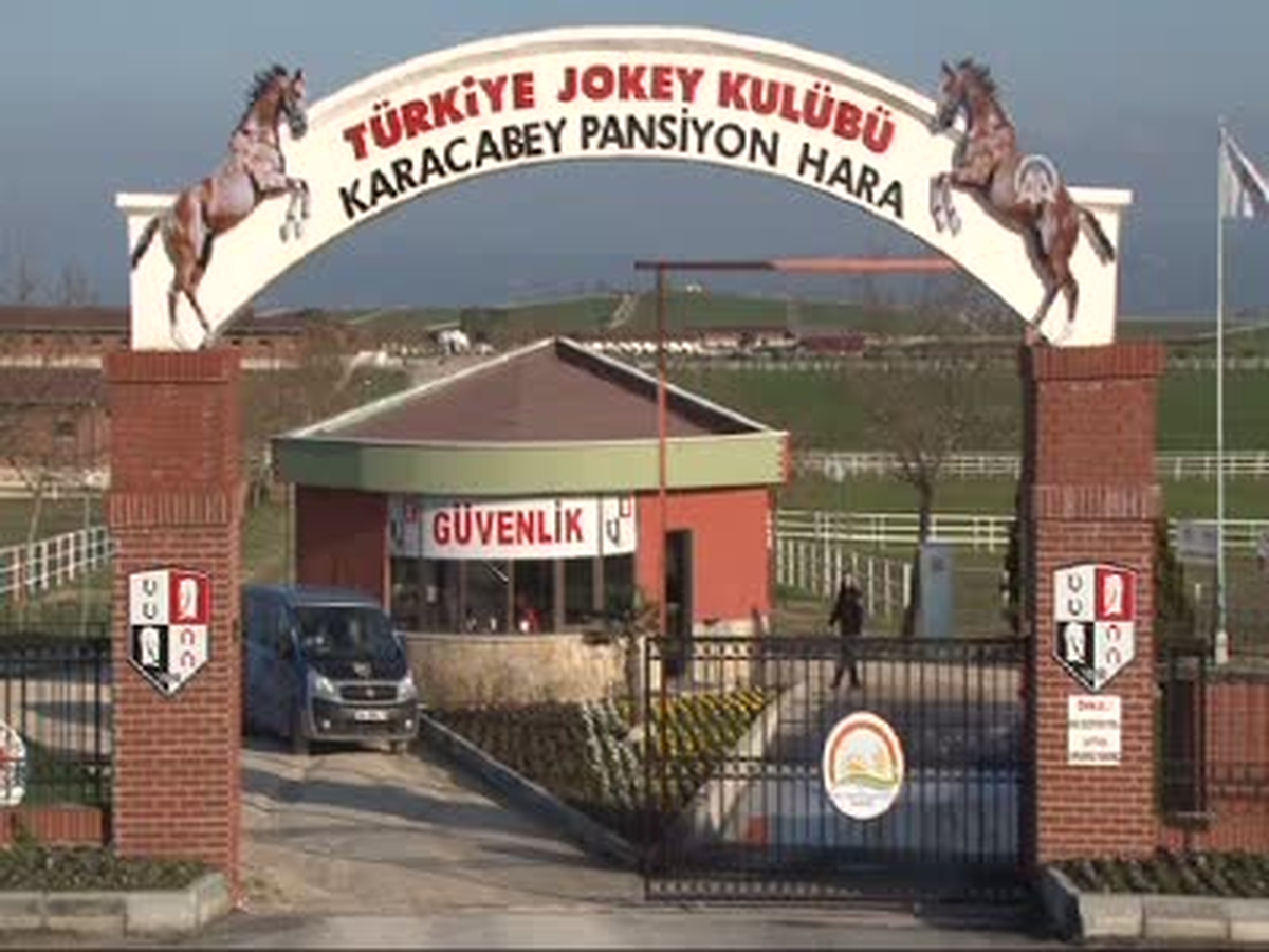 Şampiyonlar Burada Yetişiyor