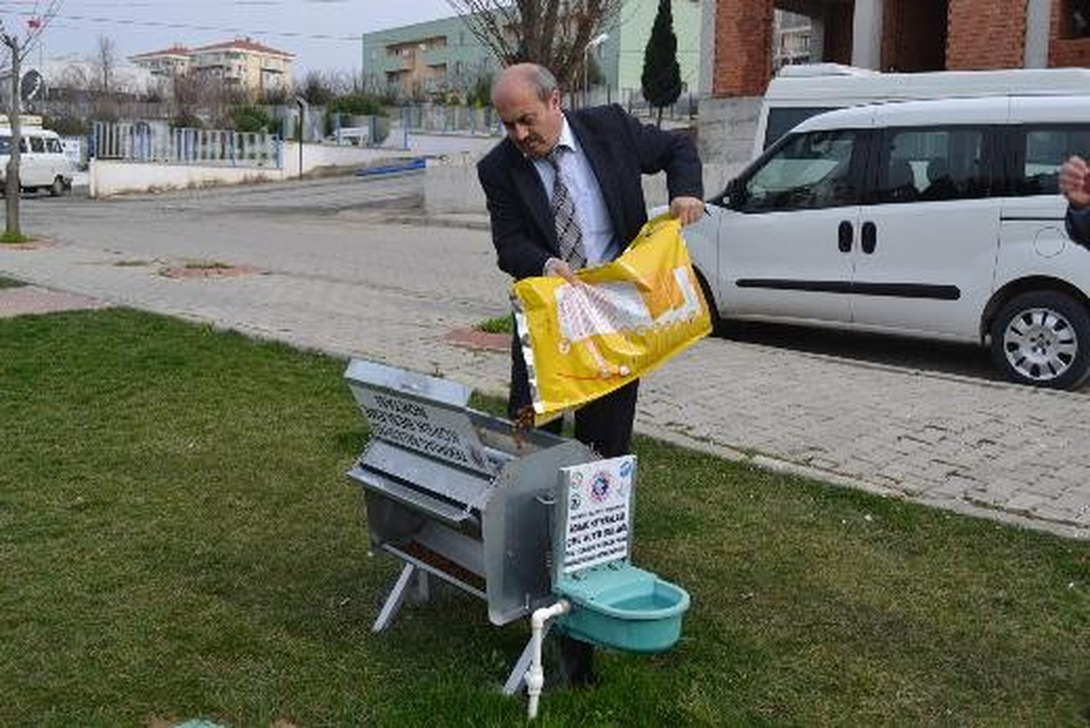 Sokak Hayvanları İçin Beslenme Noktaları Oluşturuldu