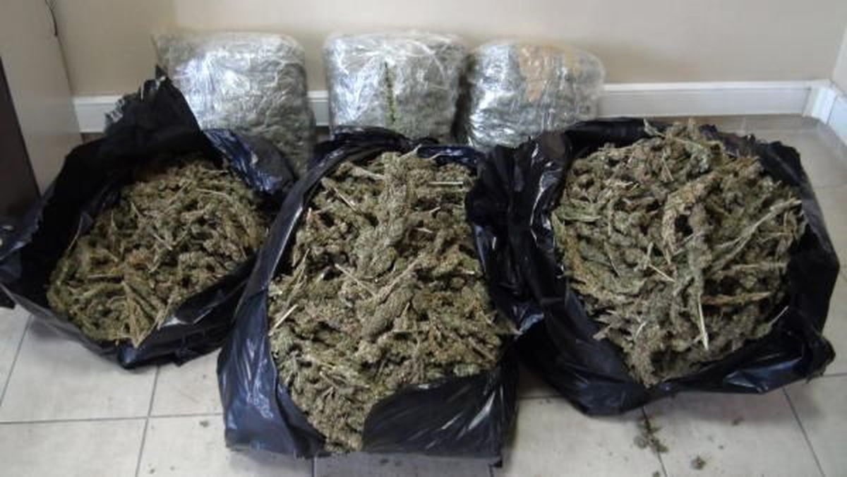 Çuvallardaki 149 Kilo Esrarı Tütün Sanıyormuş