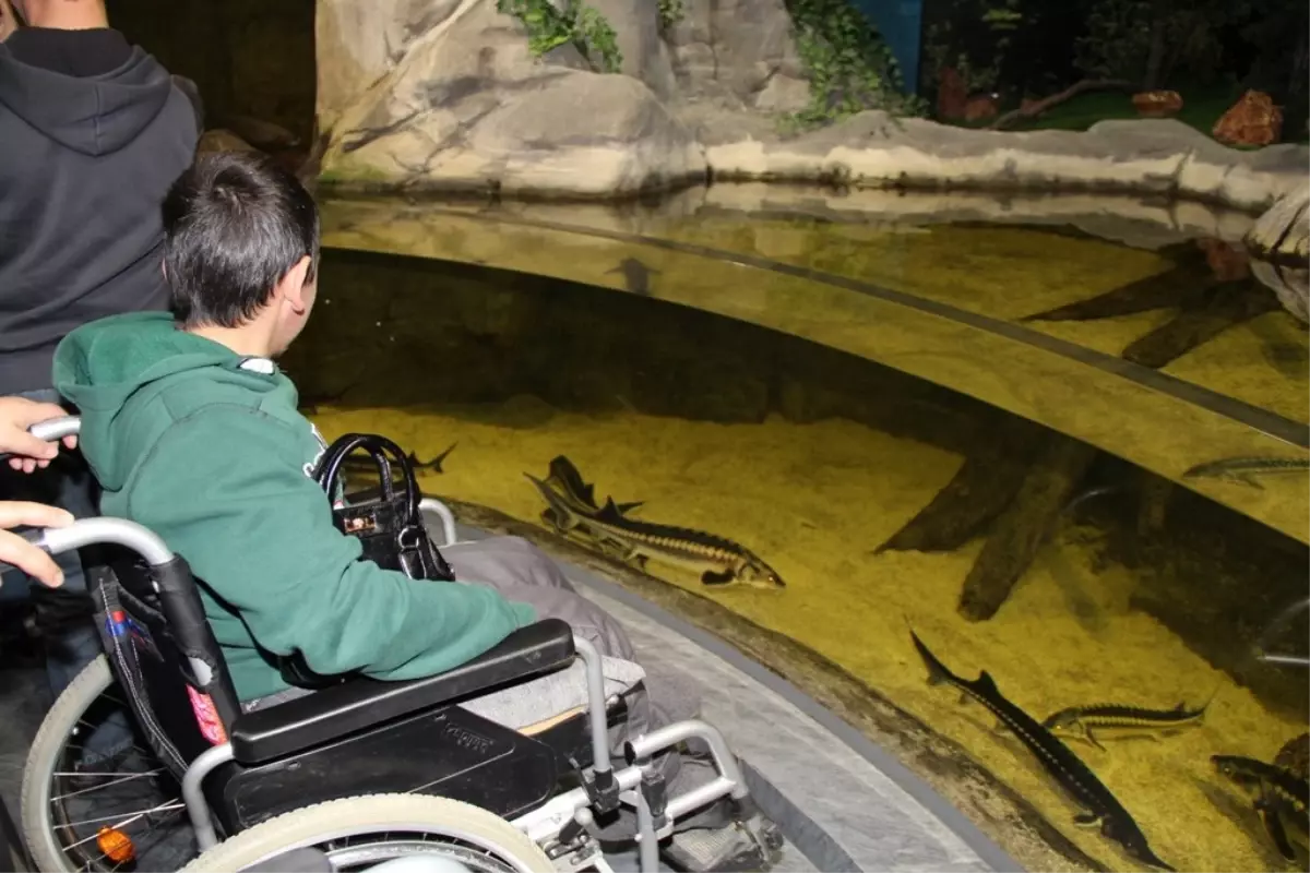 Engelli Vatandaşlar Akvaryumda Moral Buldu