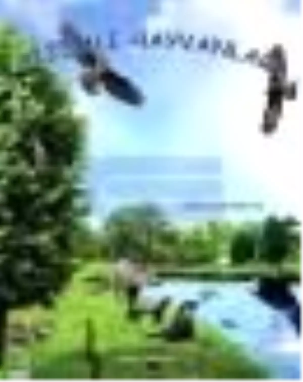 Gizemli Hayvanlar Kitabı