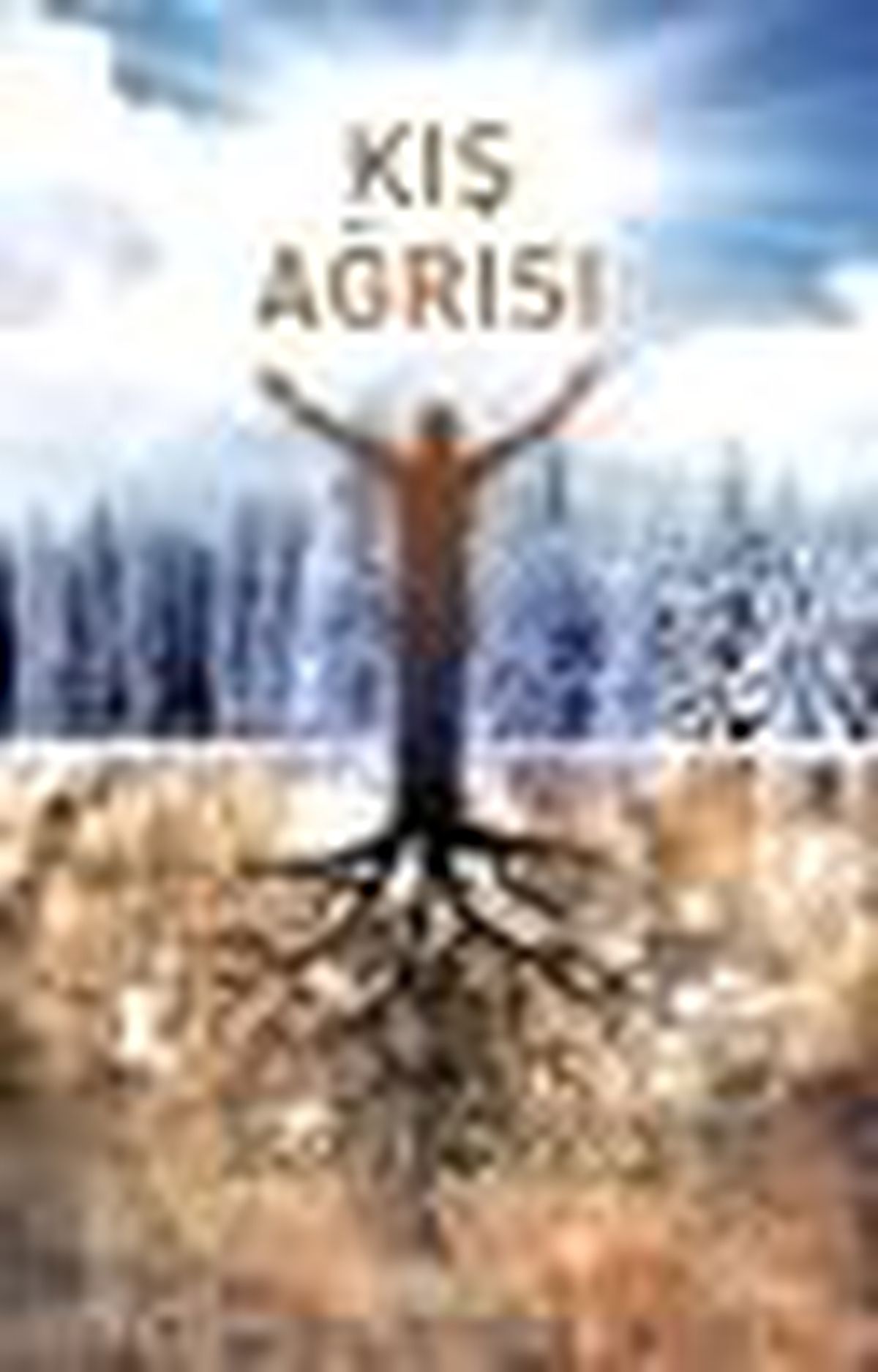 Kış Ağrısı Kitabı