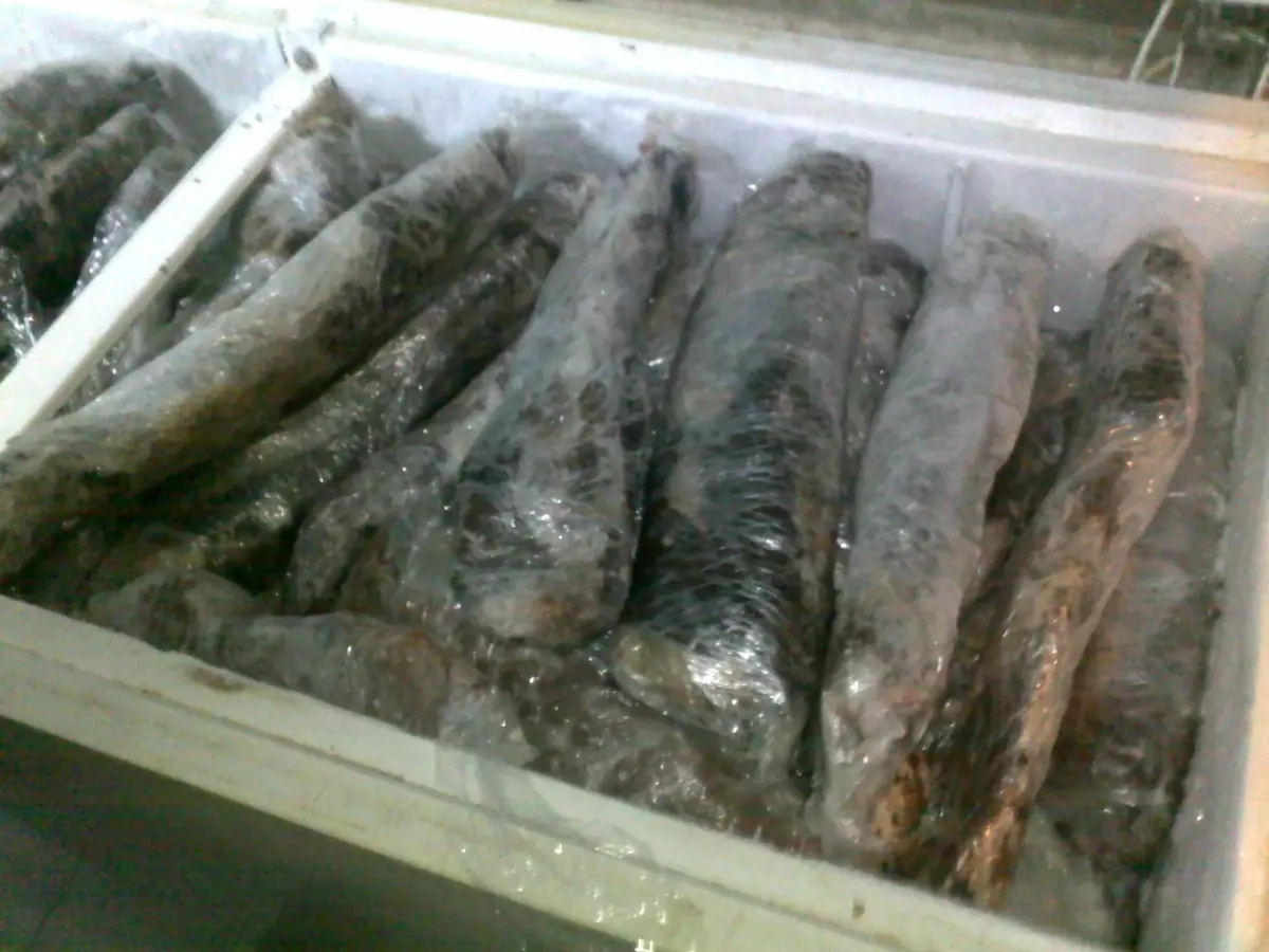 Marmaris'te Zabıta'dan Kaçak Et Operasyonu