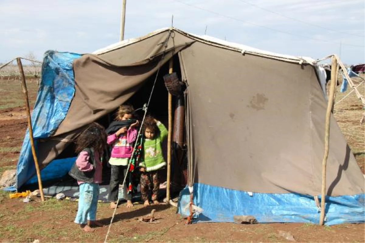 Suriye\'den Kaçan 5 Aile Siverek\'te Çadırda Yaşıyor