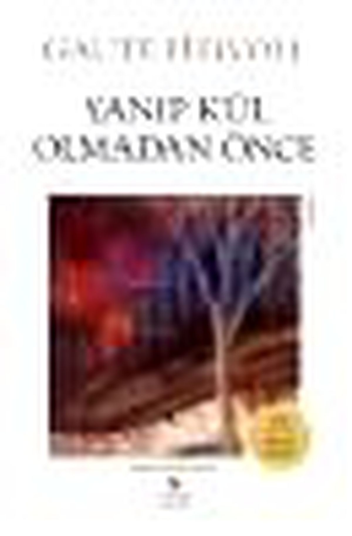 Yanıp Kül Olmadan Önce Kitabı