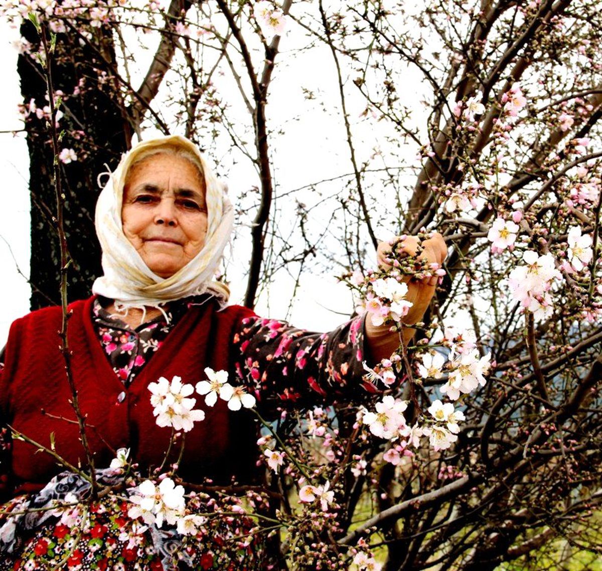 Yaşlı Kadının Yalancı Bahar Keyfi