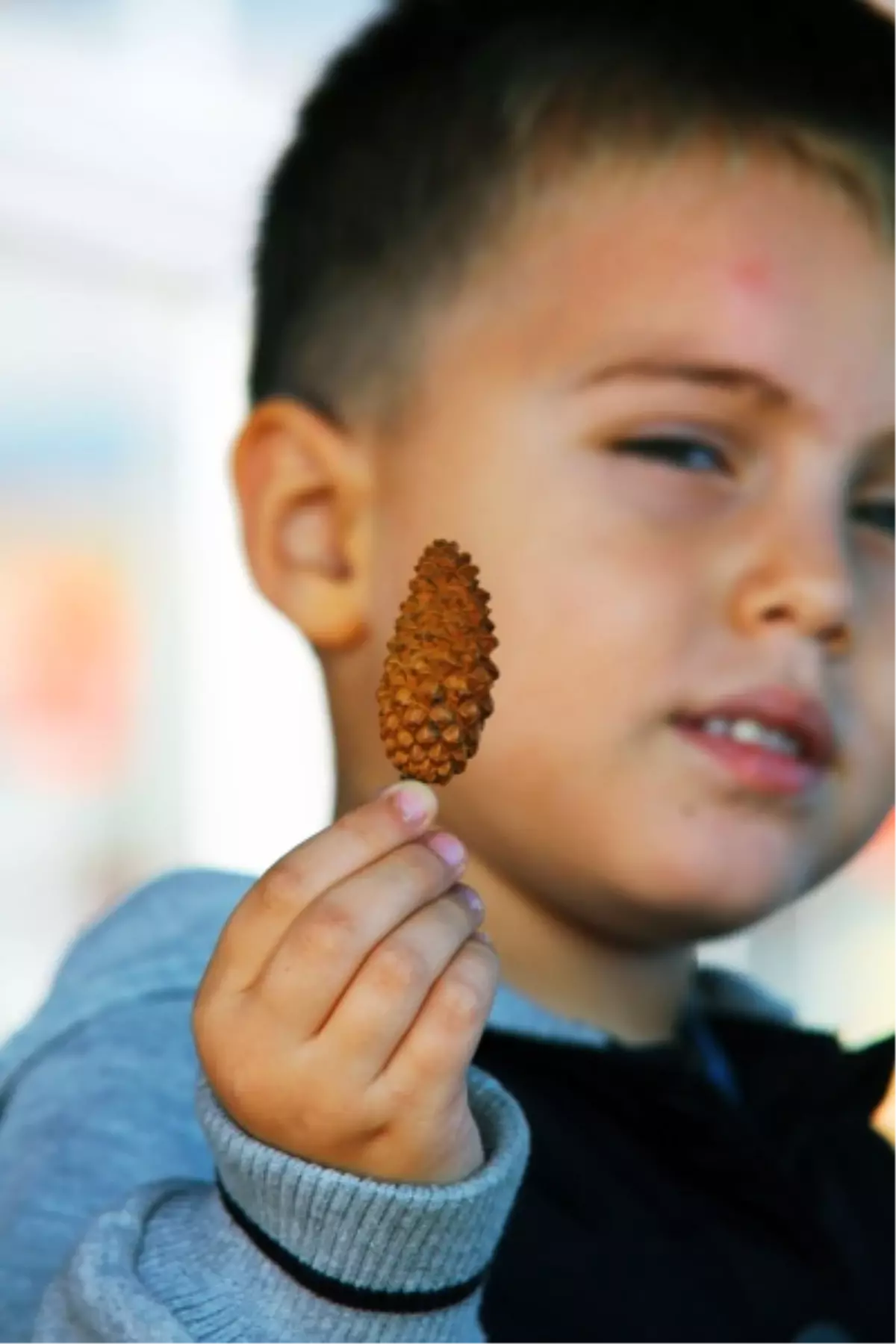 'Armağan'ın Penceresi' Fotoğraf Sergisi