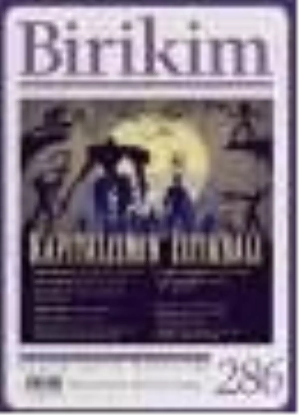 Birikim Sayı: 286 Kitabı