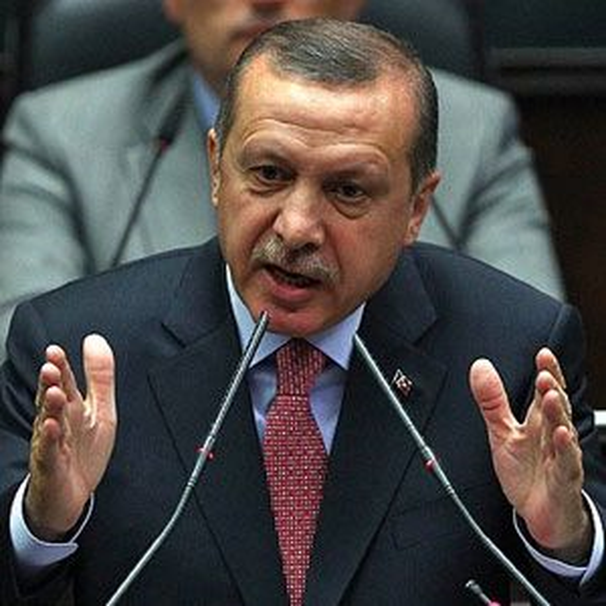Erdoğan: Terörü Söküp Atalım