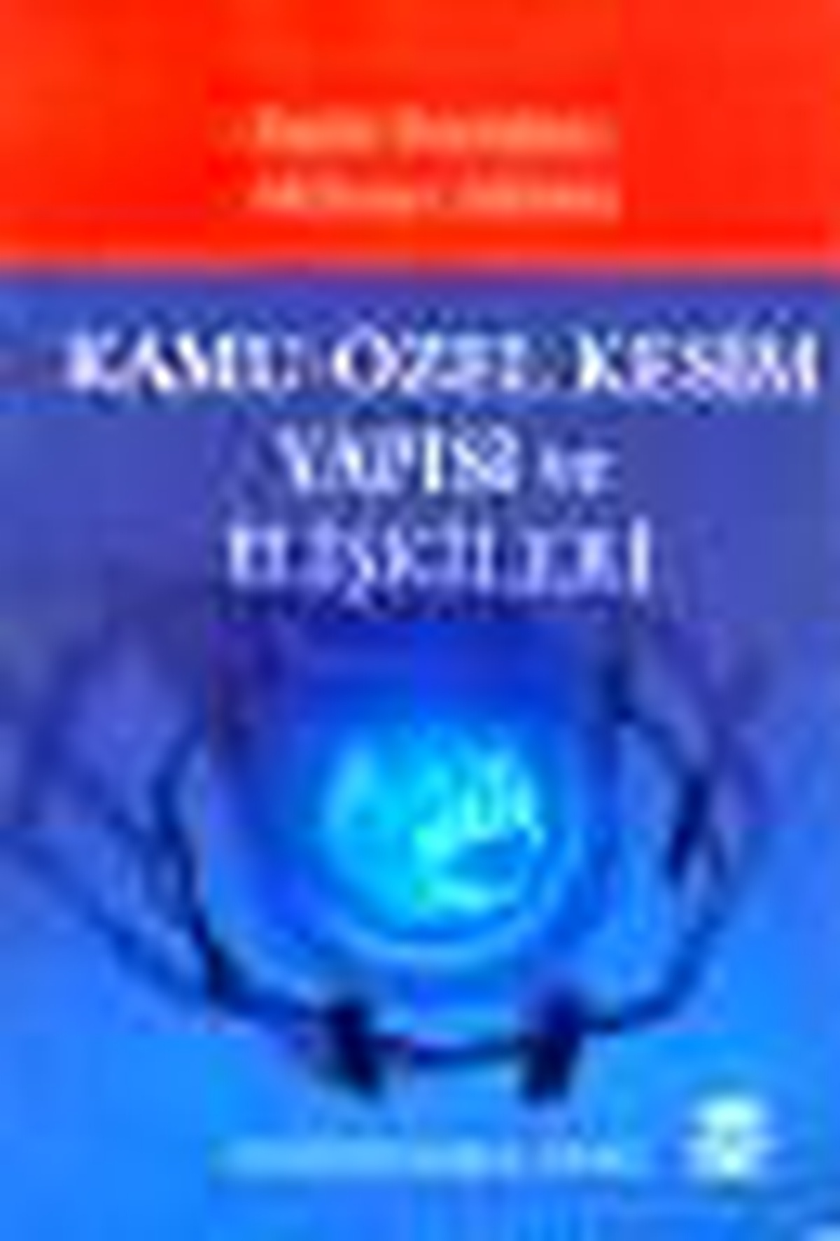 Kamu - Özel Kesim Yapısı ve İlişkileri Kitabı