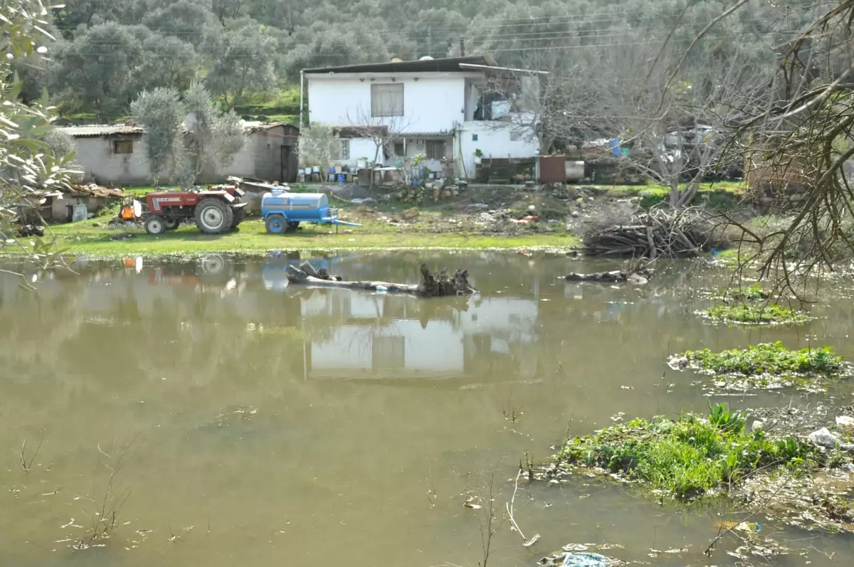 Milas\'ta Ev, İş Yeri ve Araziler Su Altında Kaldı