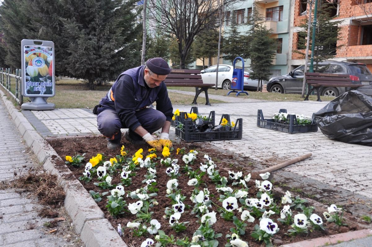 Odunpazarı Çiçek Açtı