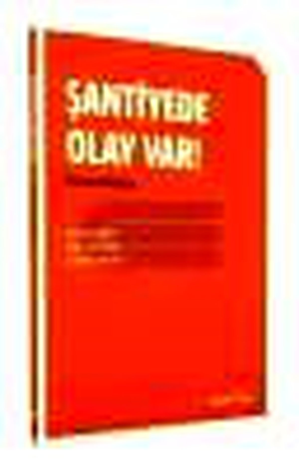 Şantiyede Olay Var! Kitabı
