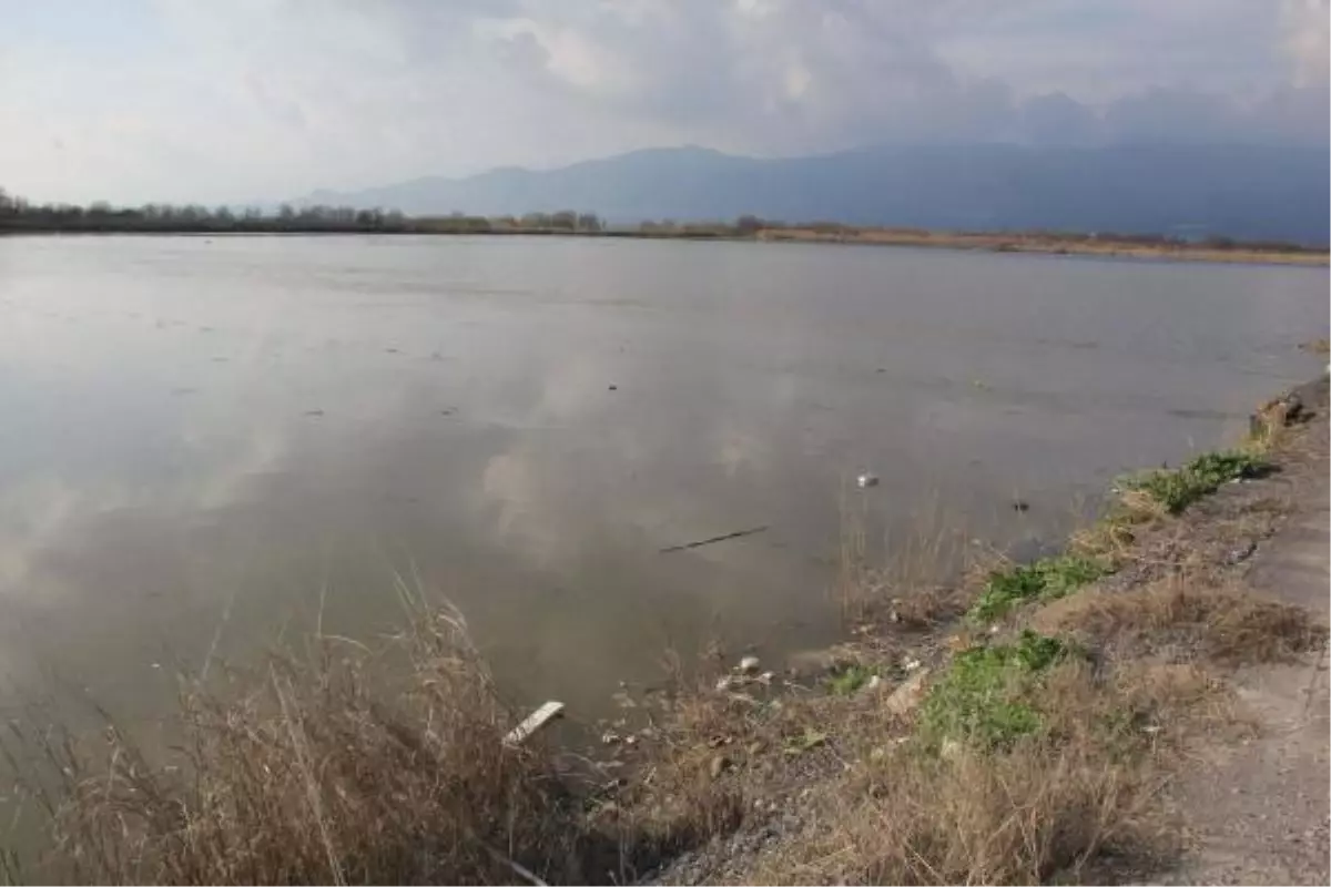 Yenipazar Ovası Sular Altında