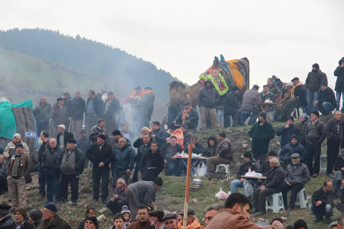 Futbol Takımı Yararına Deve Güreşi