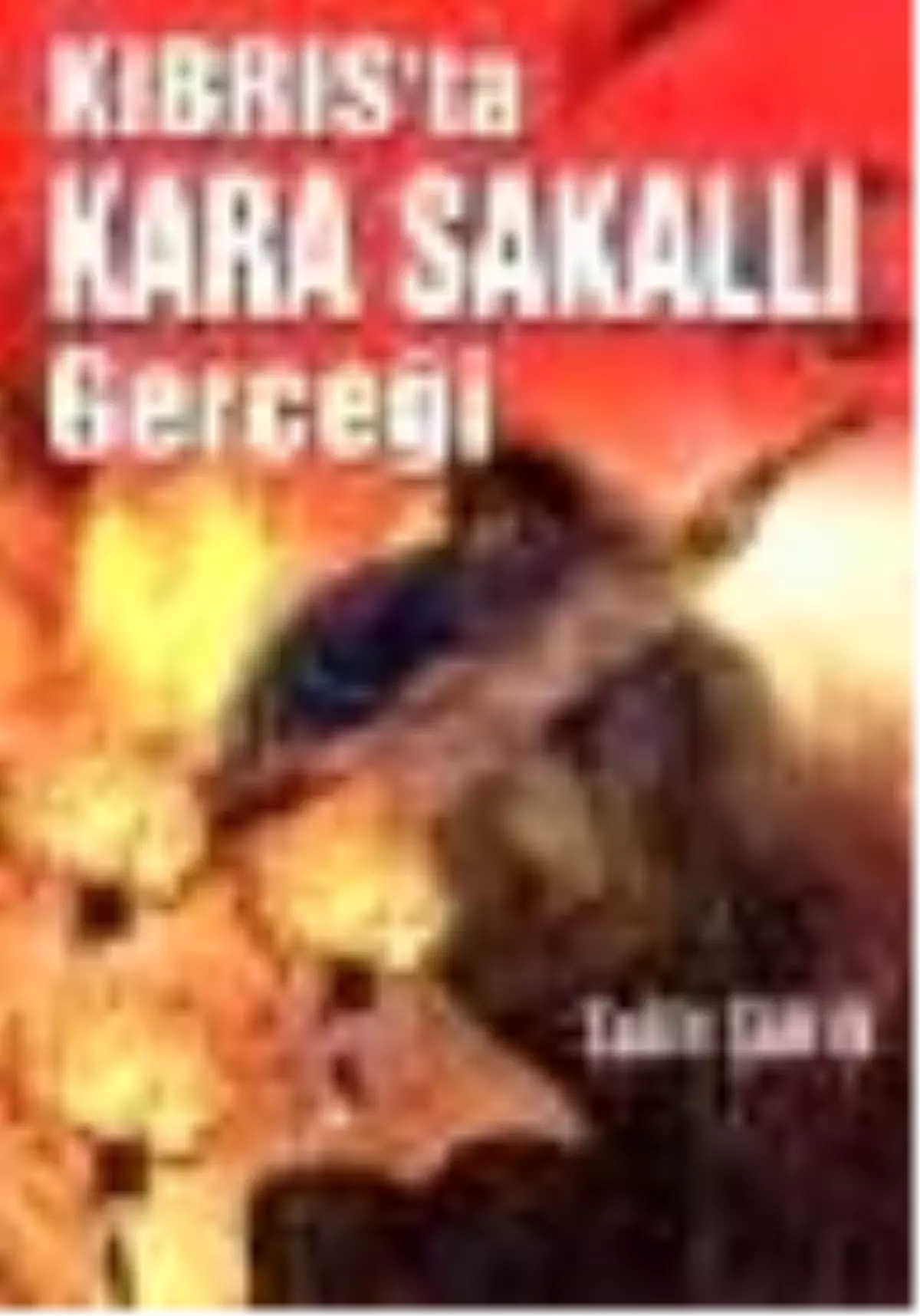 Kıbrıs\'ta Kara Sakallı Gerçeği Kitabı