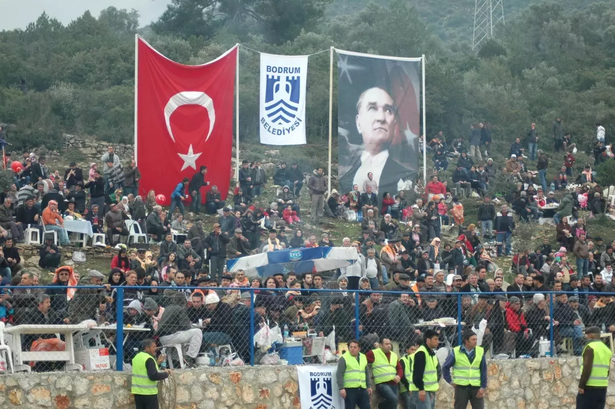 Yağmura Aldırmayan Kızgın Develer Kıran Kırana Güreşti