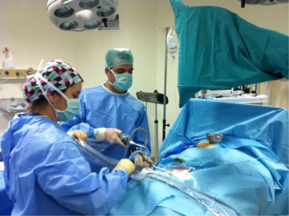 Böbrek Kist Hidatik Hastalığında Laparoskopik Yaklaşım