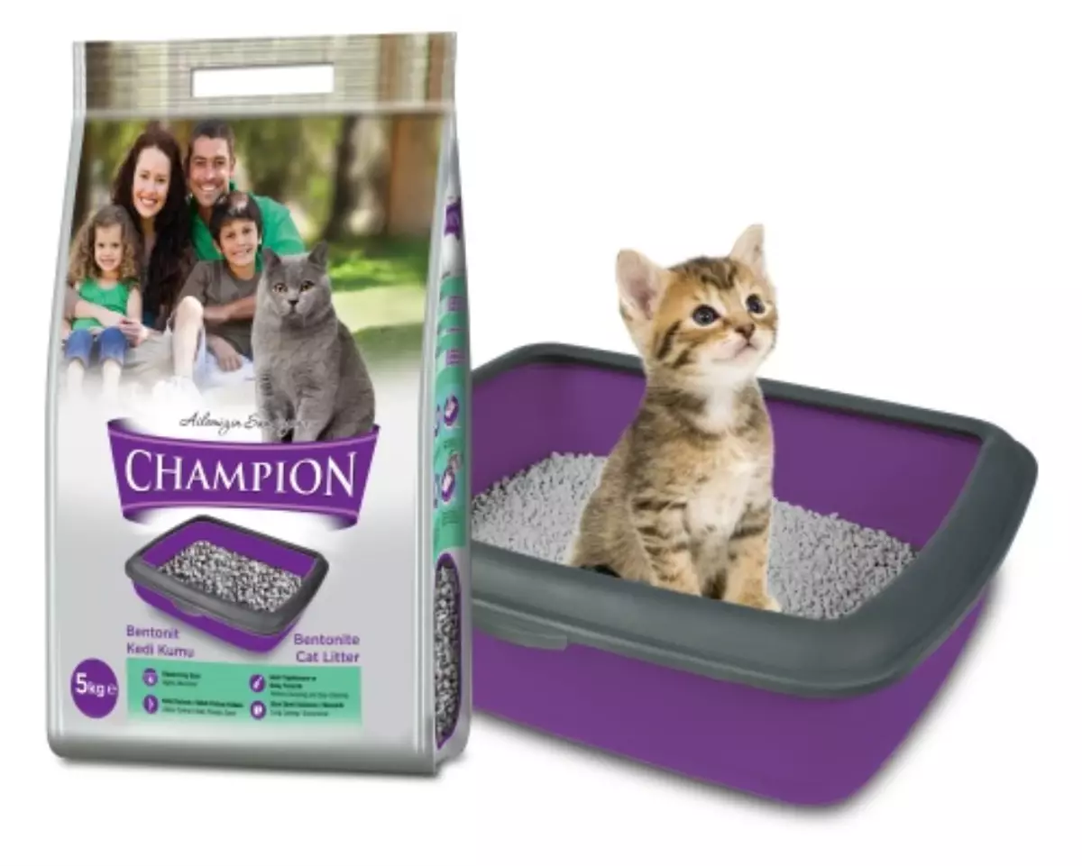 Champion\'dan Bentonit Kedi Kumu