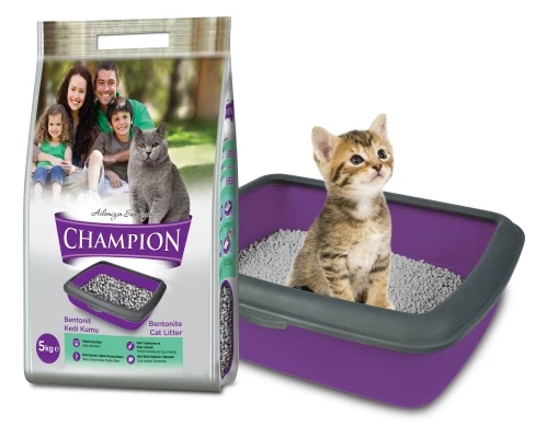 Champion Kedi Maması