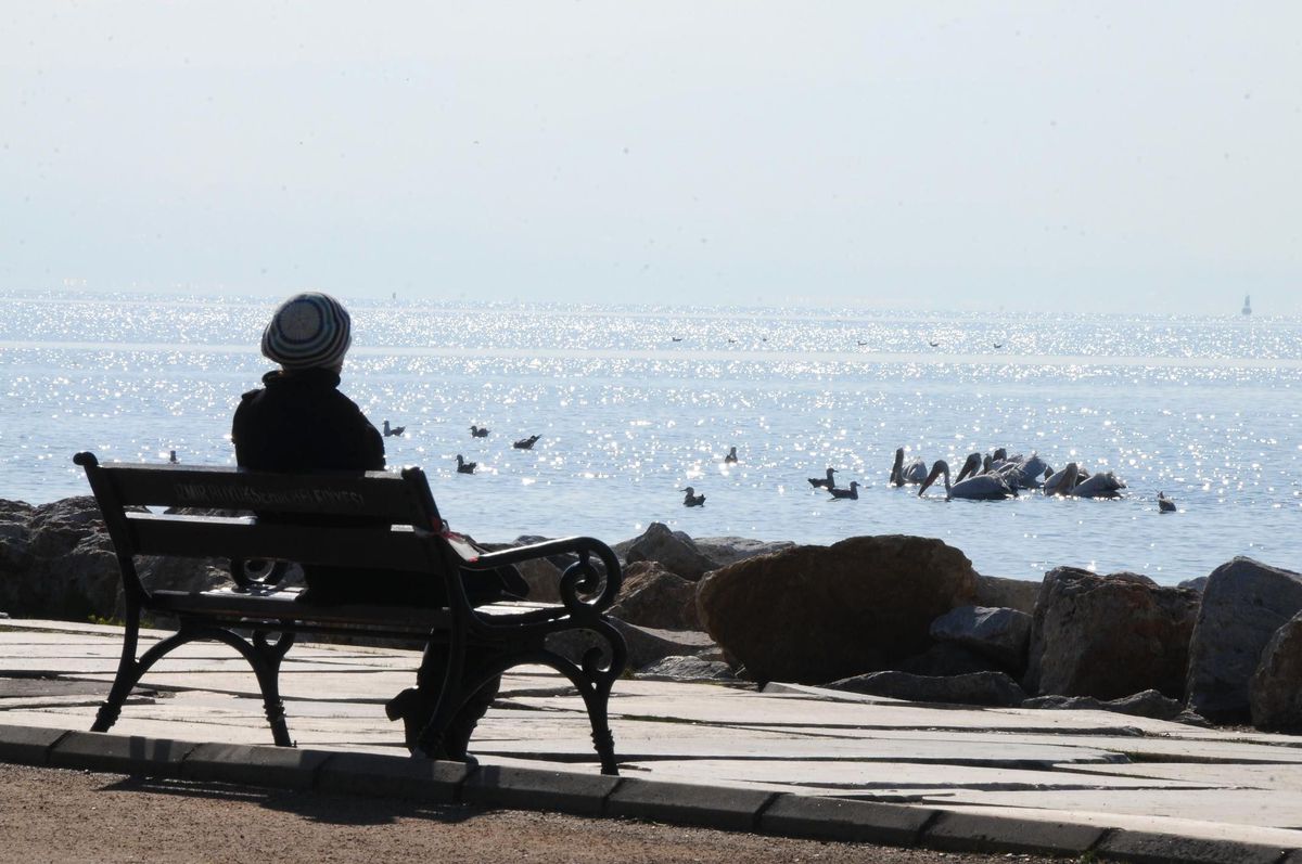 izmir Körfezi Hayat Buldu