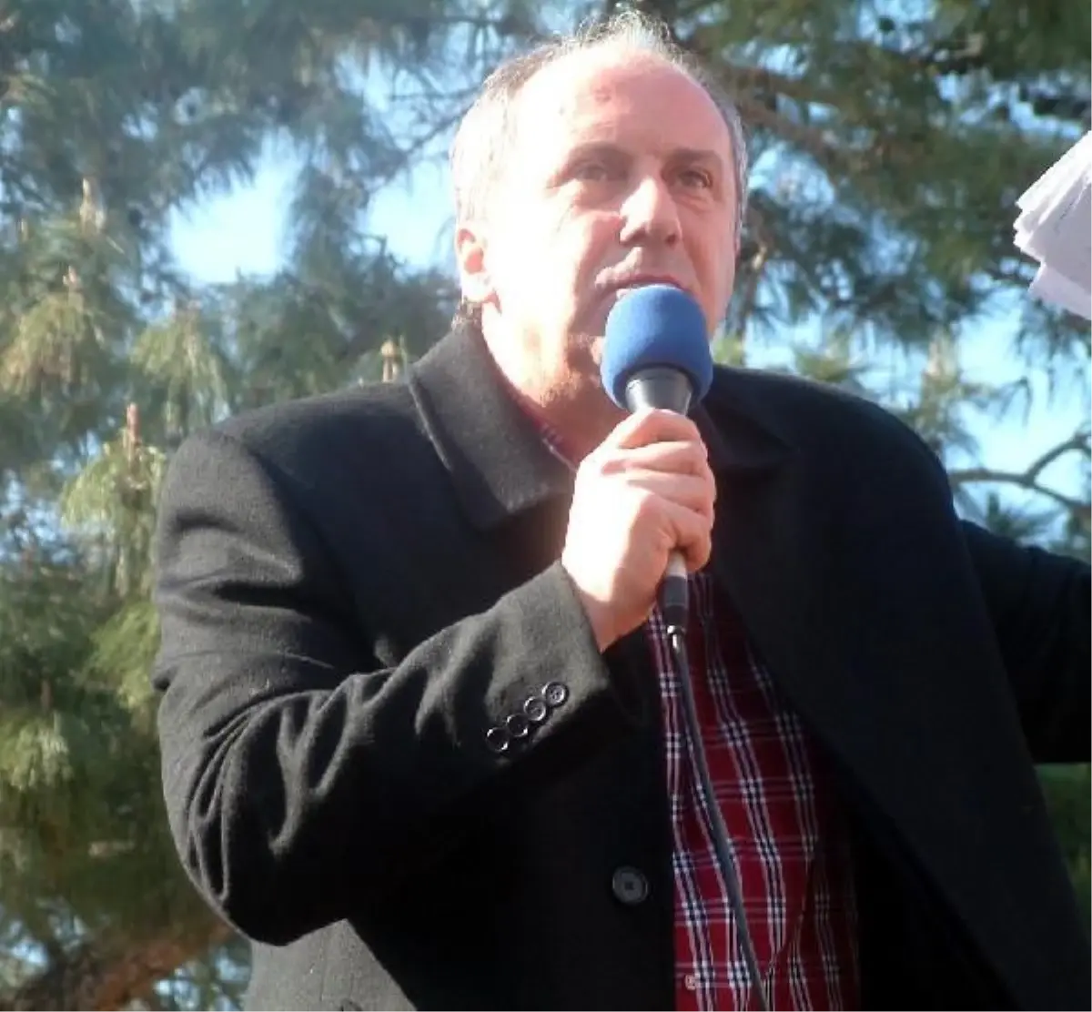 "Ortak İstek, Zeytine Destek" Mitingi