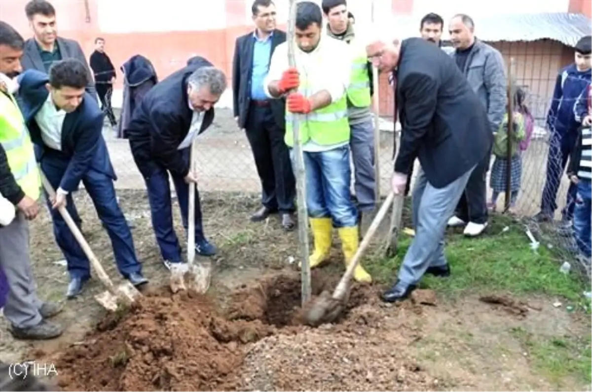 Siirt Belediyesi\'nden Ağaç Dikim Çalışmaları