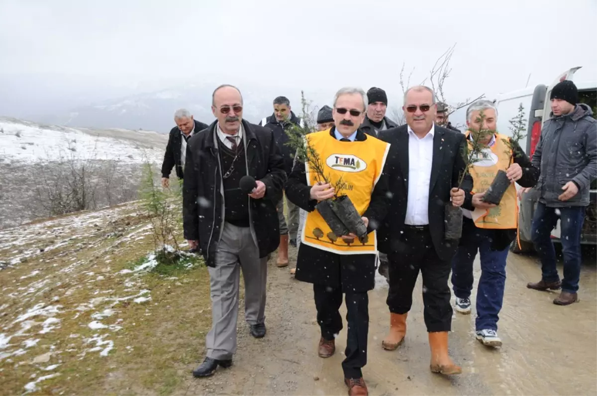 Ağcakise Köyünde Fidan Dikme Etkinliği