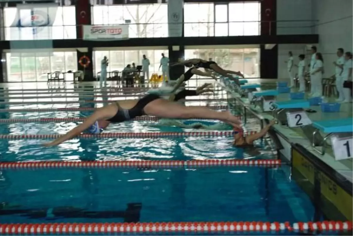 Diyarbakır'da Okullar Arası Yüzme Yarışması