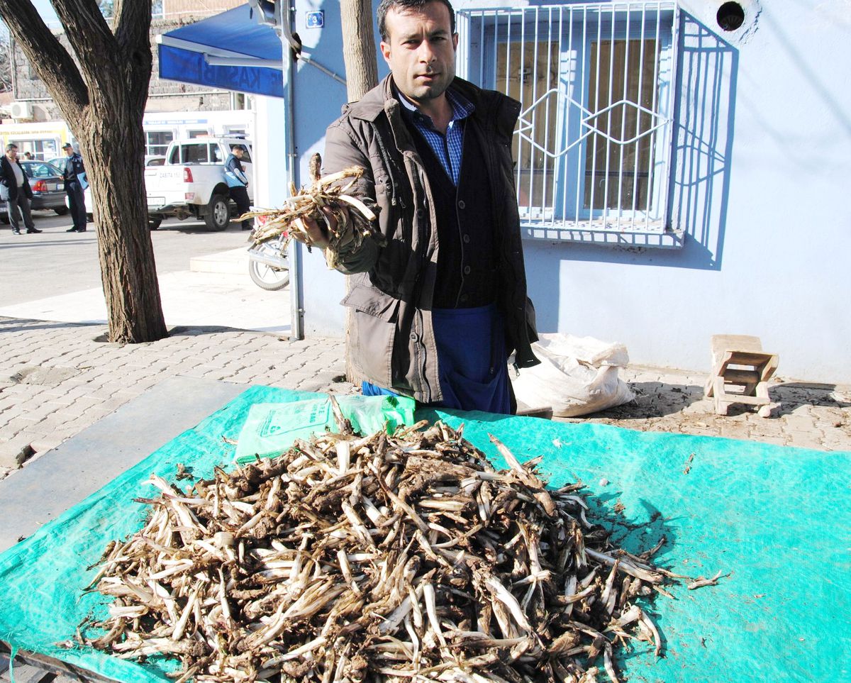 Siverek'te Baharın Müjdecisi Yarpuz ve Kenger Satışı Başladı