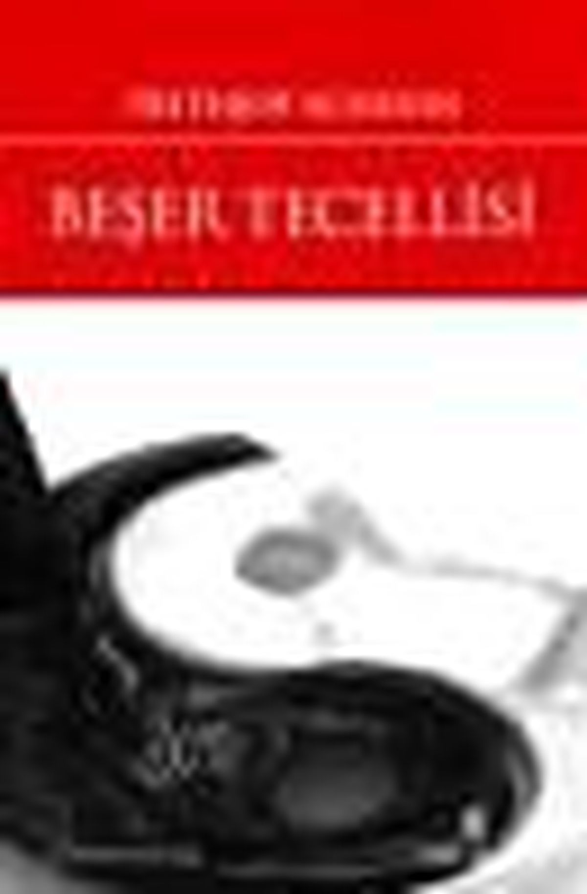 Beşer Tecellisi Kitabı