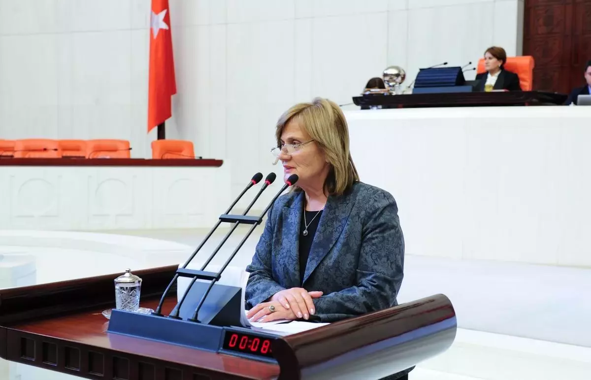 CHP Balıkesir Milletvekili Ayşe Nedret Akova Açıklaması