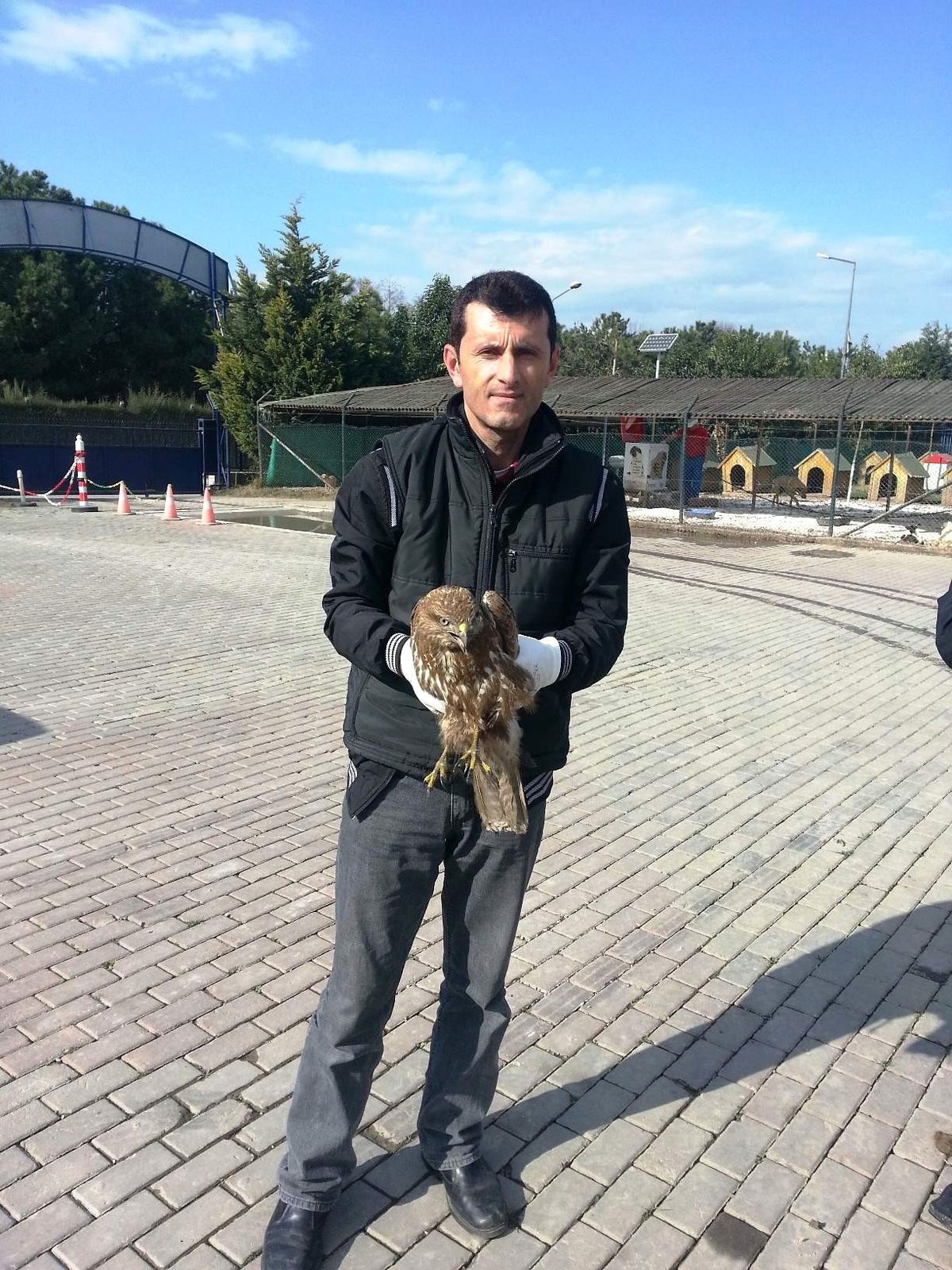 Yaralı Atmaca Yaşayacak