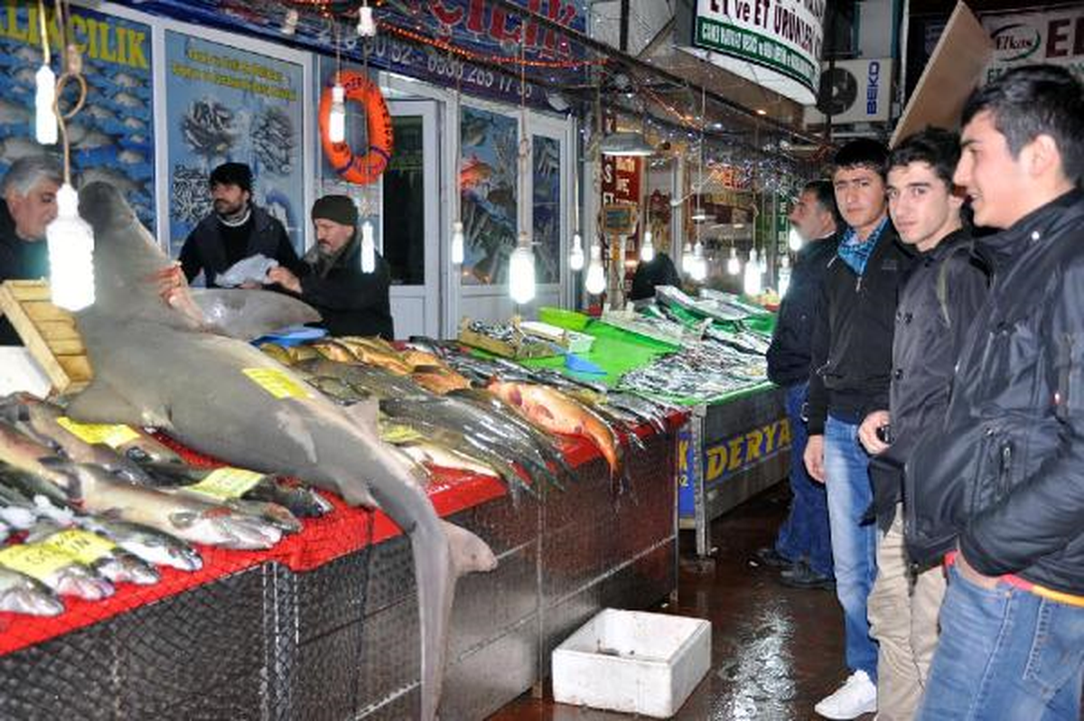 Elazığ\'da 2 Metrelik Köpekbalığı