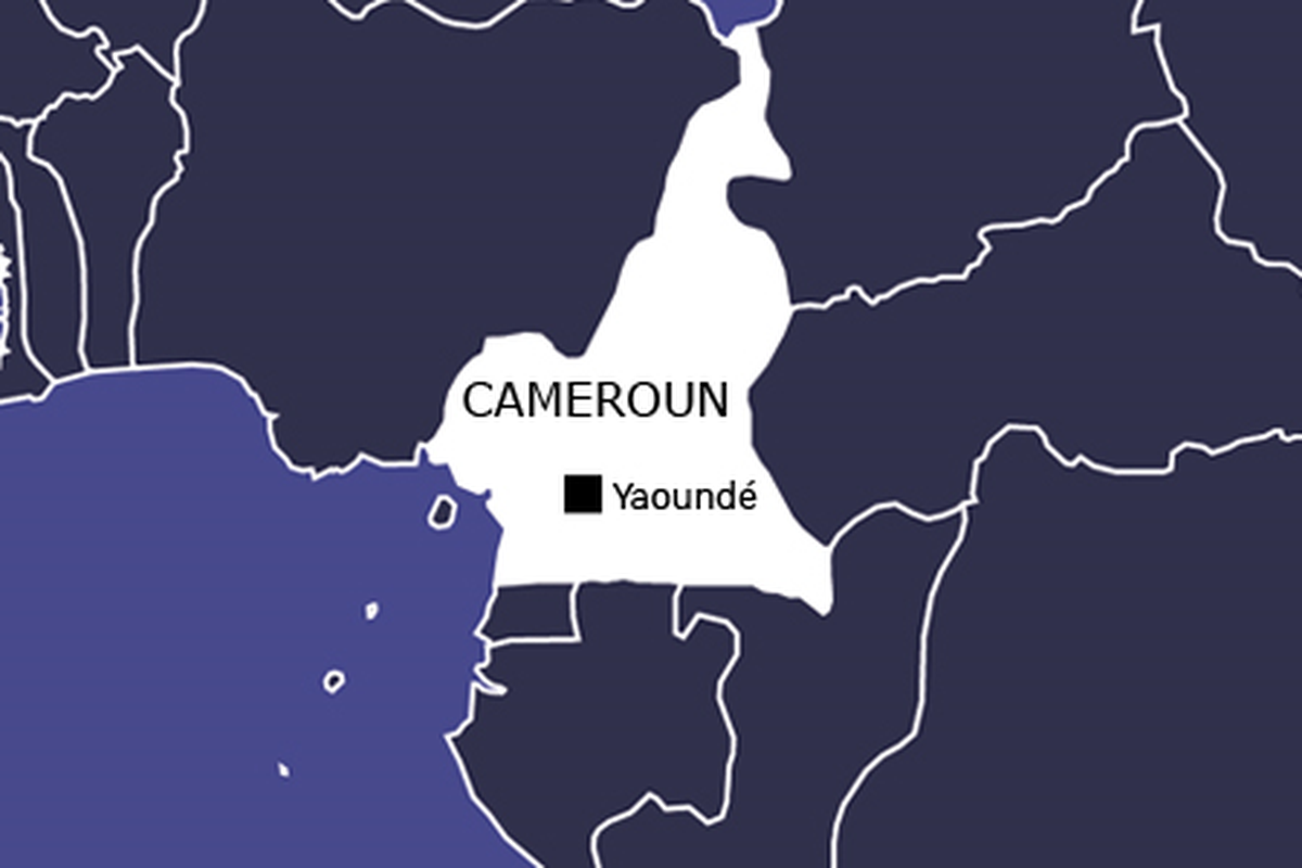 Fransa, Kamerun\'da Kaçırılan Fransız 7 Turistin Serbest Bırakıldığı Yolundaki Haberleri Yalanladı