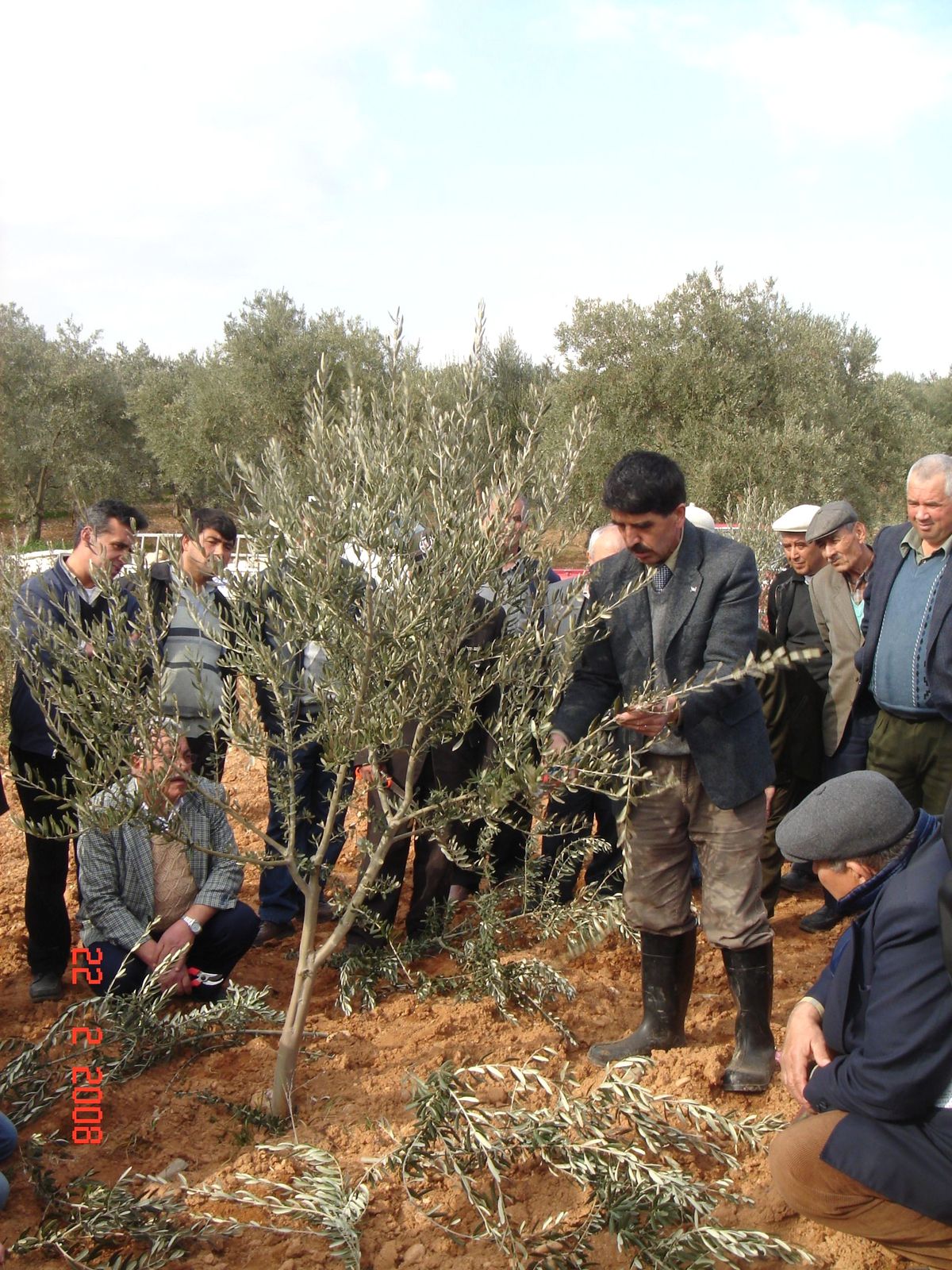 Muğla\'da Zeytin Budama Kursu