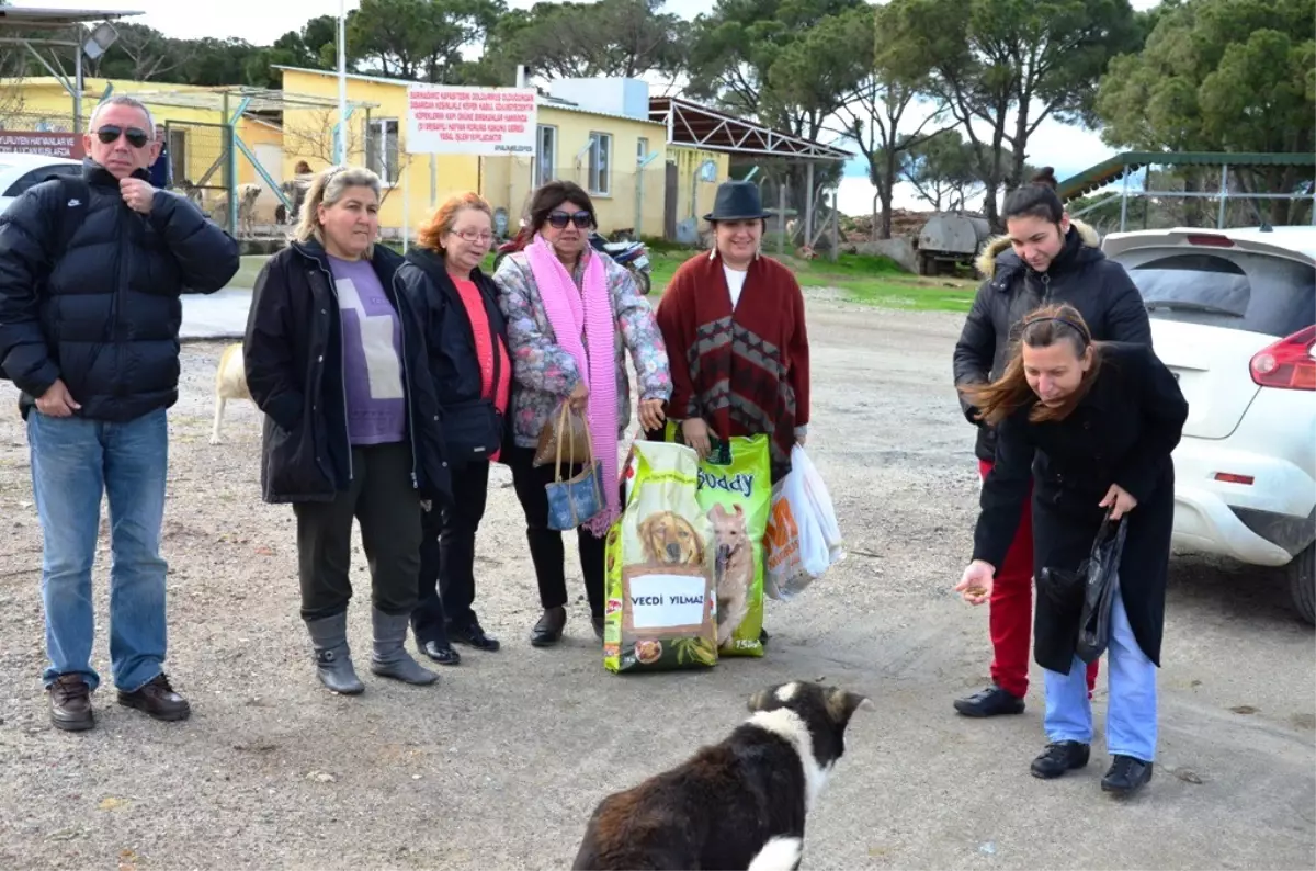 (Özel Haber) Sokak Hayvanları İçin İmamlardan Vaaz İstiyorlar