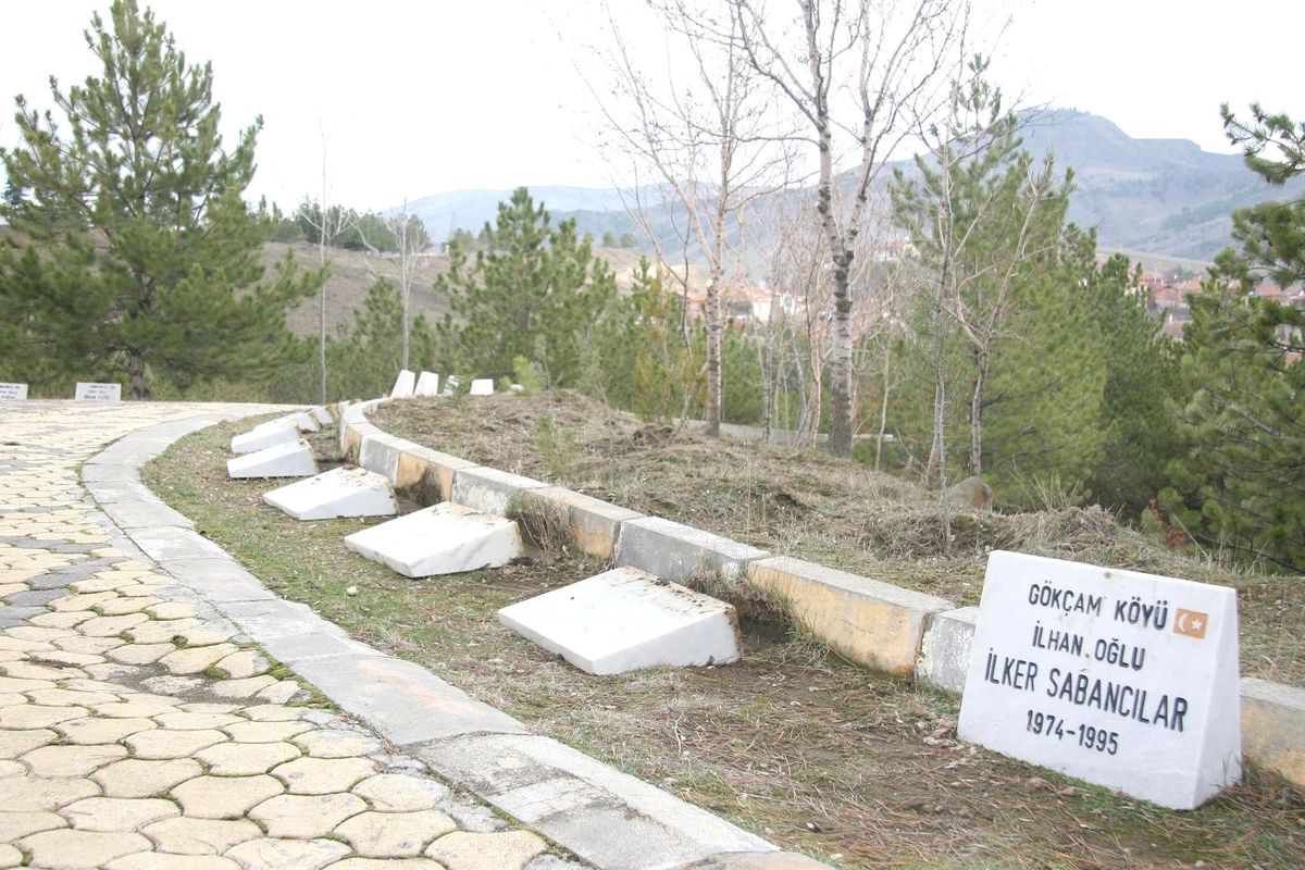 Şehitlikteki Çirkin Saldırının Suçlusu Yakalandı