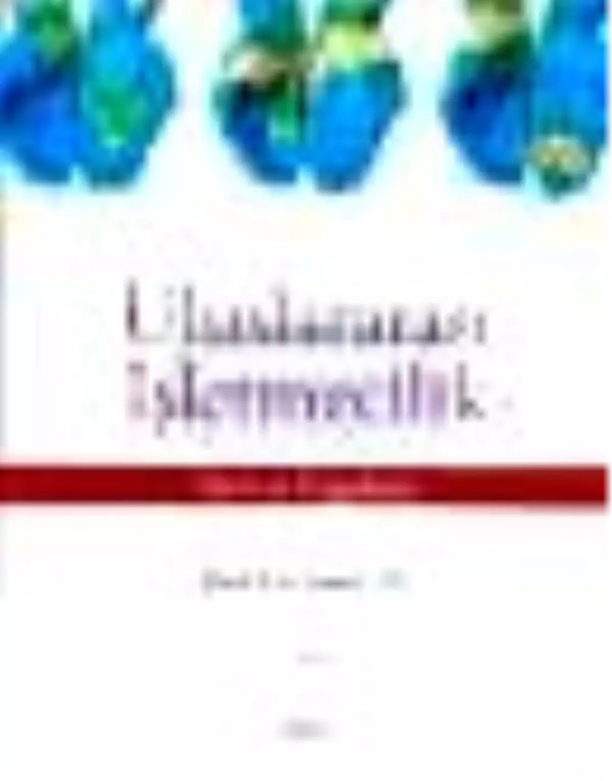 Uluslararası İşletmecilik Kitabı