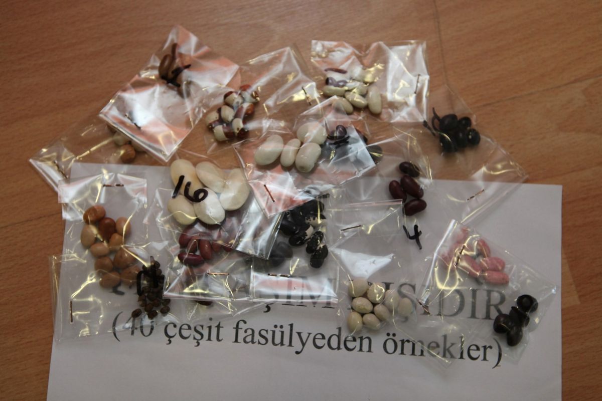 Yerel Tohumcular İnternetten Örgütlendi
