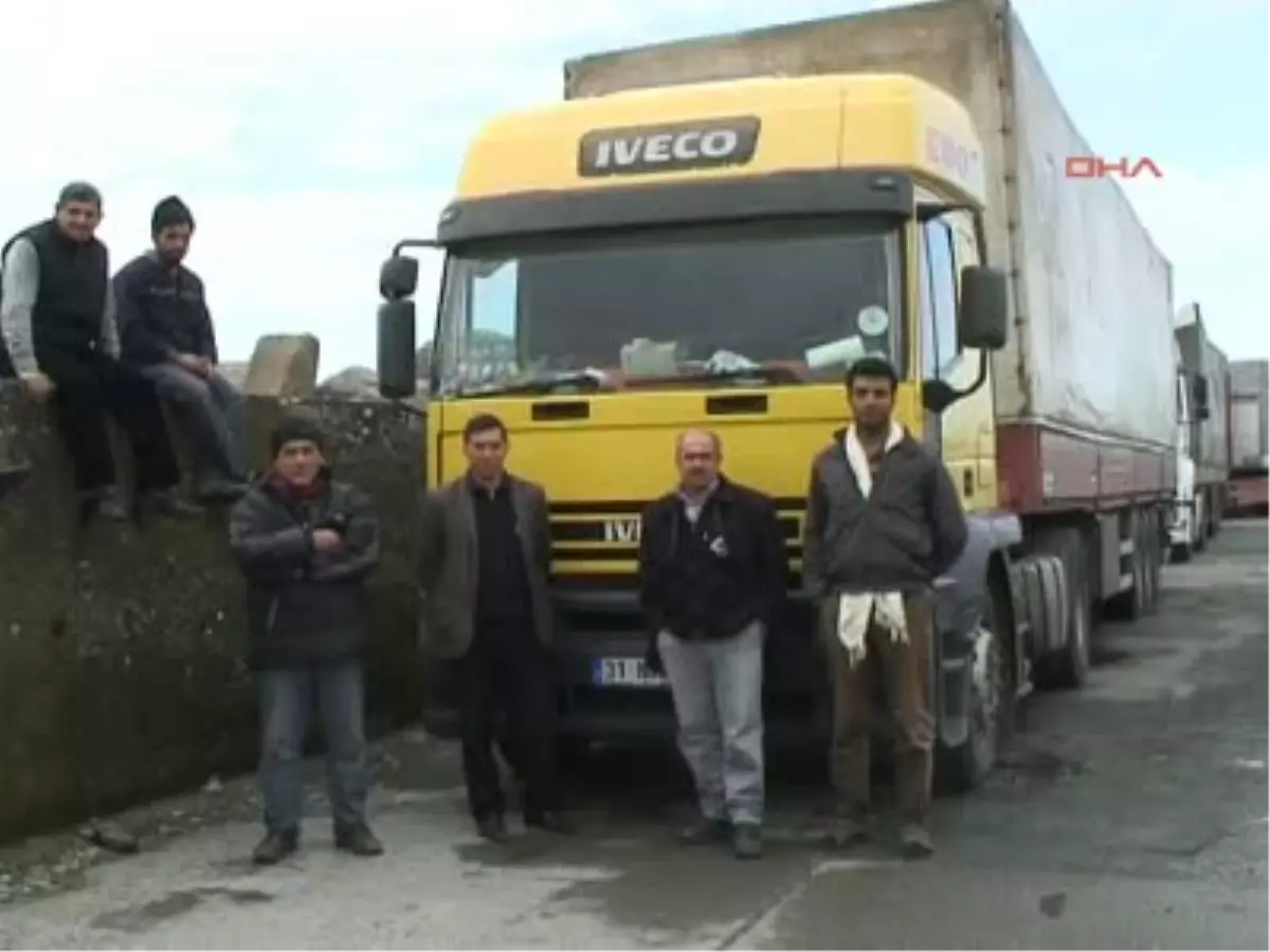 Artvin İthal Ot Yüklü Tır ve Kamyonlar Hopa Gümrük Sahasında Mahsur Kaldı İthal Ot Yüklü Tır ve...