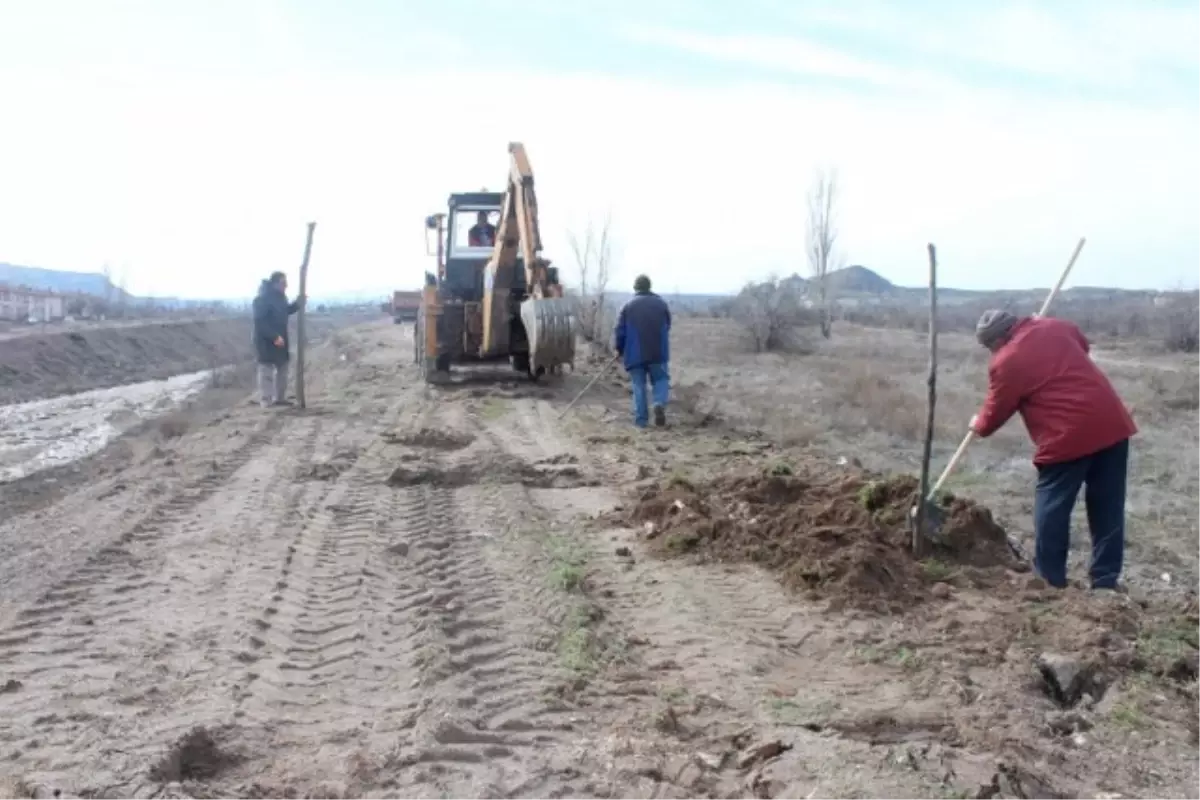 Avanos'da Matcan Deresi Boyunca Ağaçlandırma Çalışmalarına Başlandı