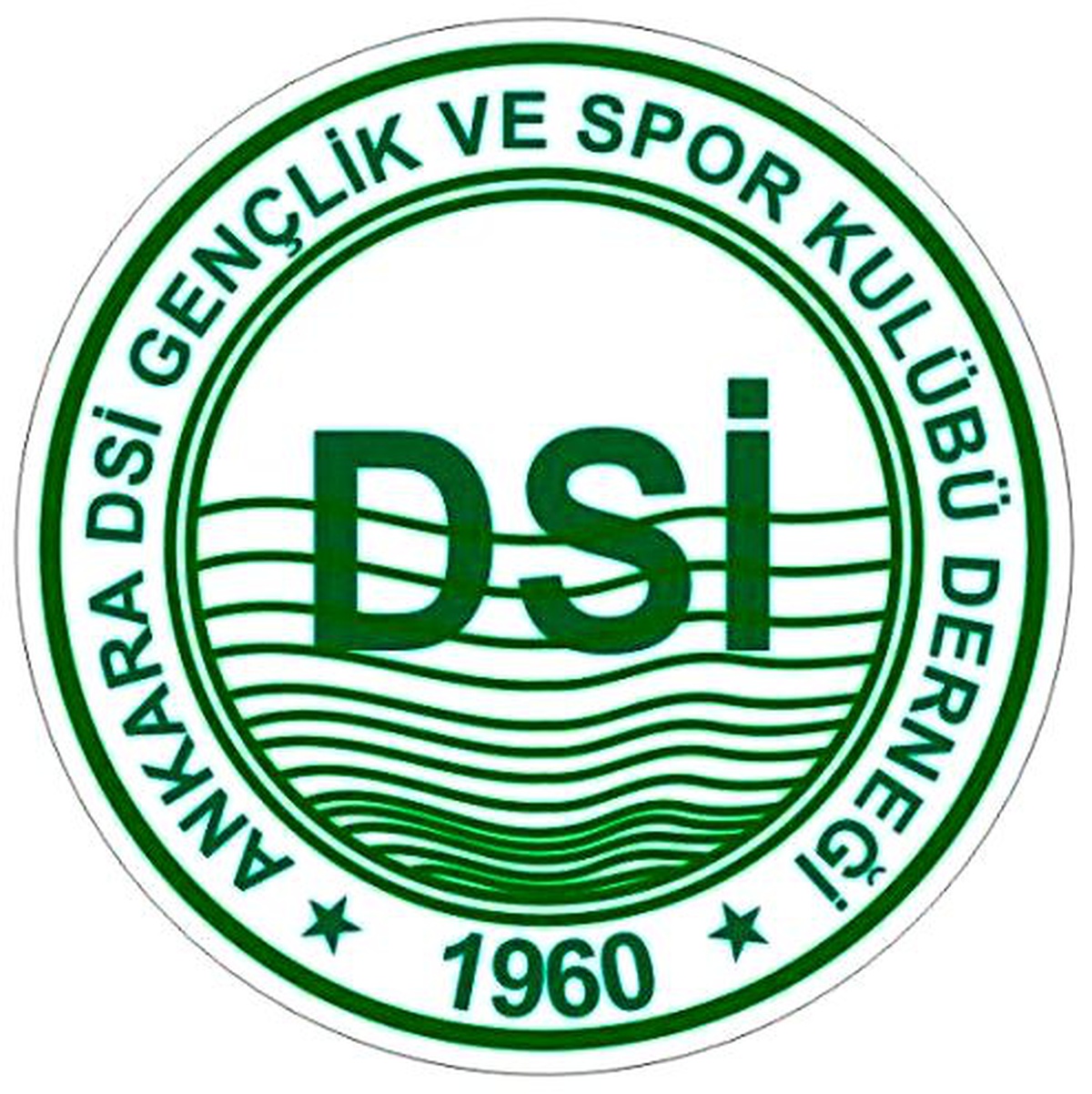 Dsi Bölge Müdürlüklerine Atama