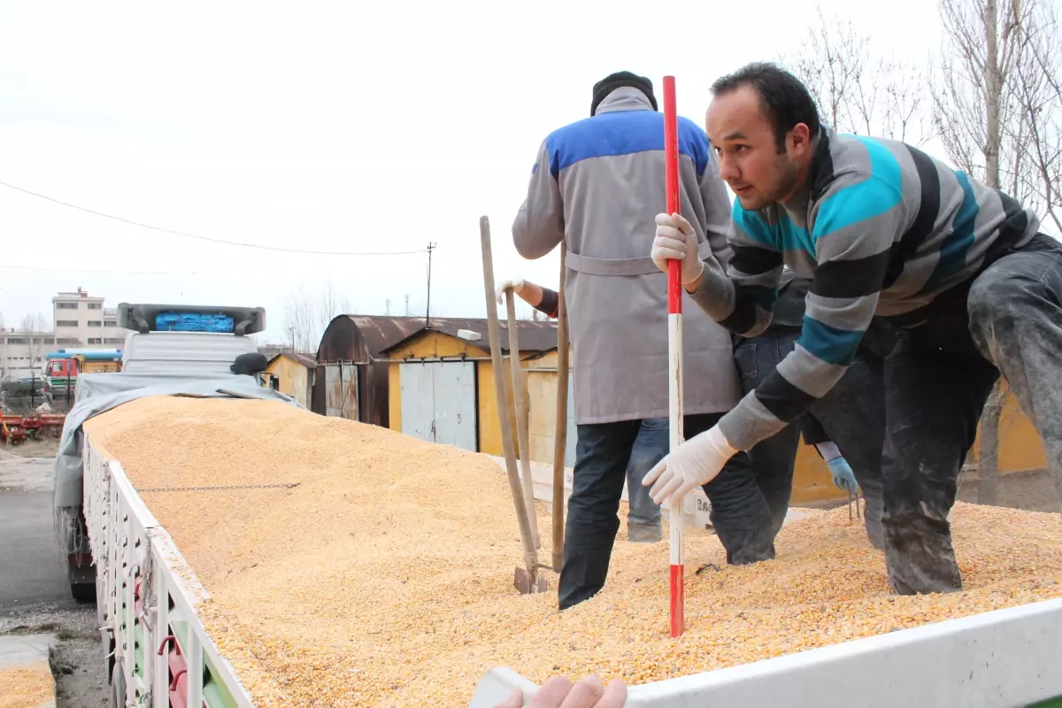 2 Tırdan 45 Bin Paket Kaçak Sigara Çıktı