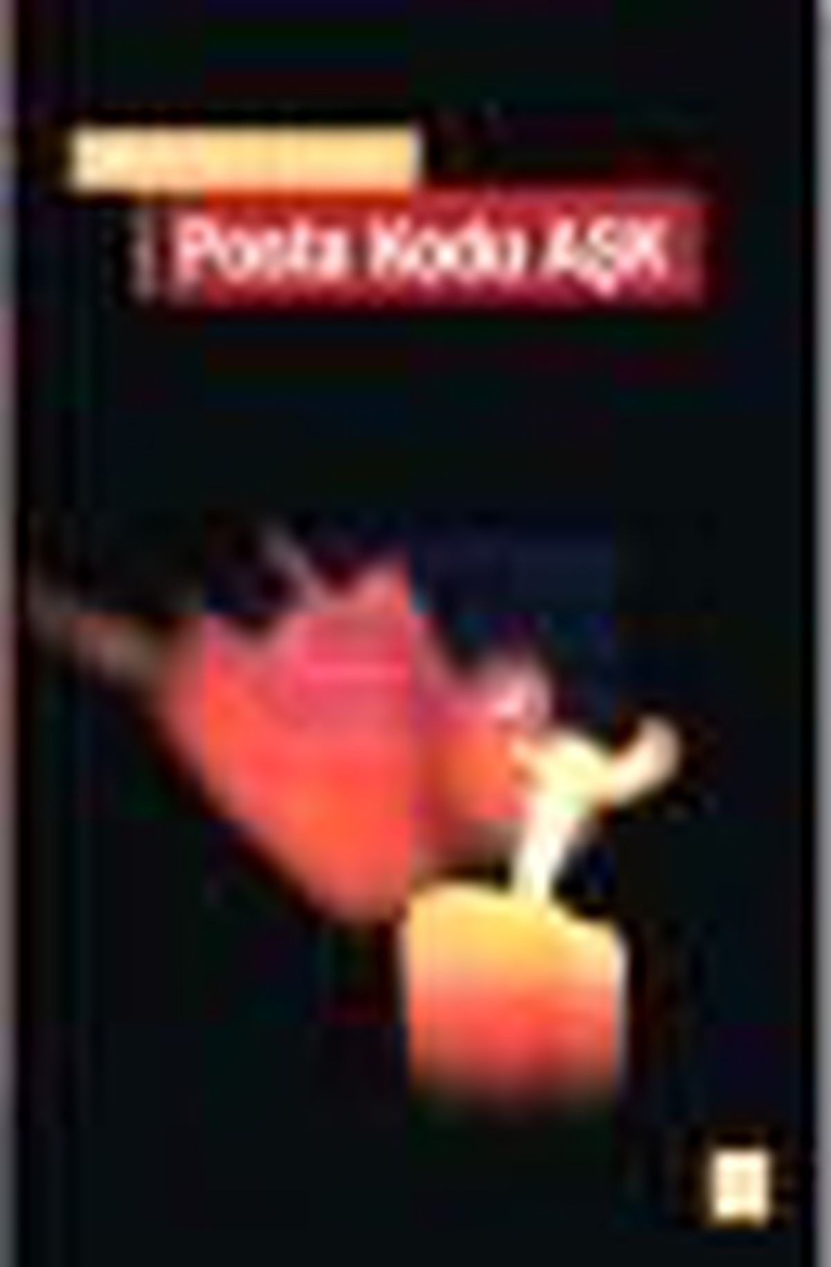Posta Kodu Aşk Kitabı