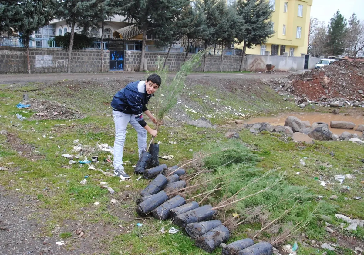 Siverek\'te Fidan Dağıtımı Devam Ediyor