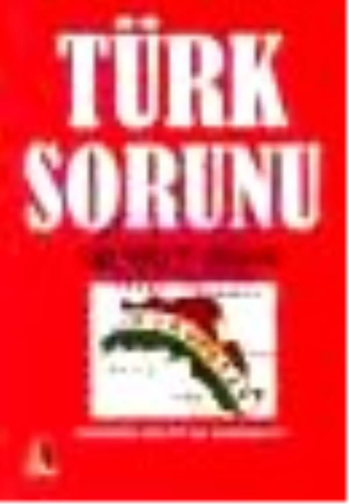 Türk Sorunu Kitabı