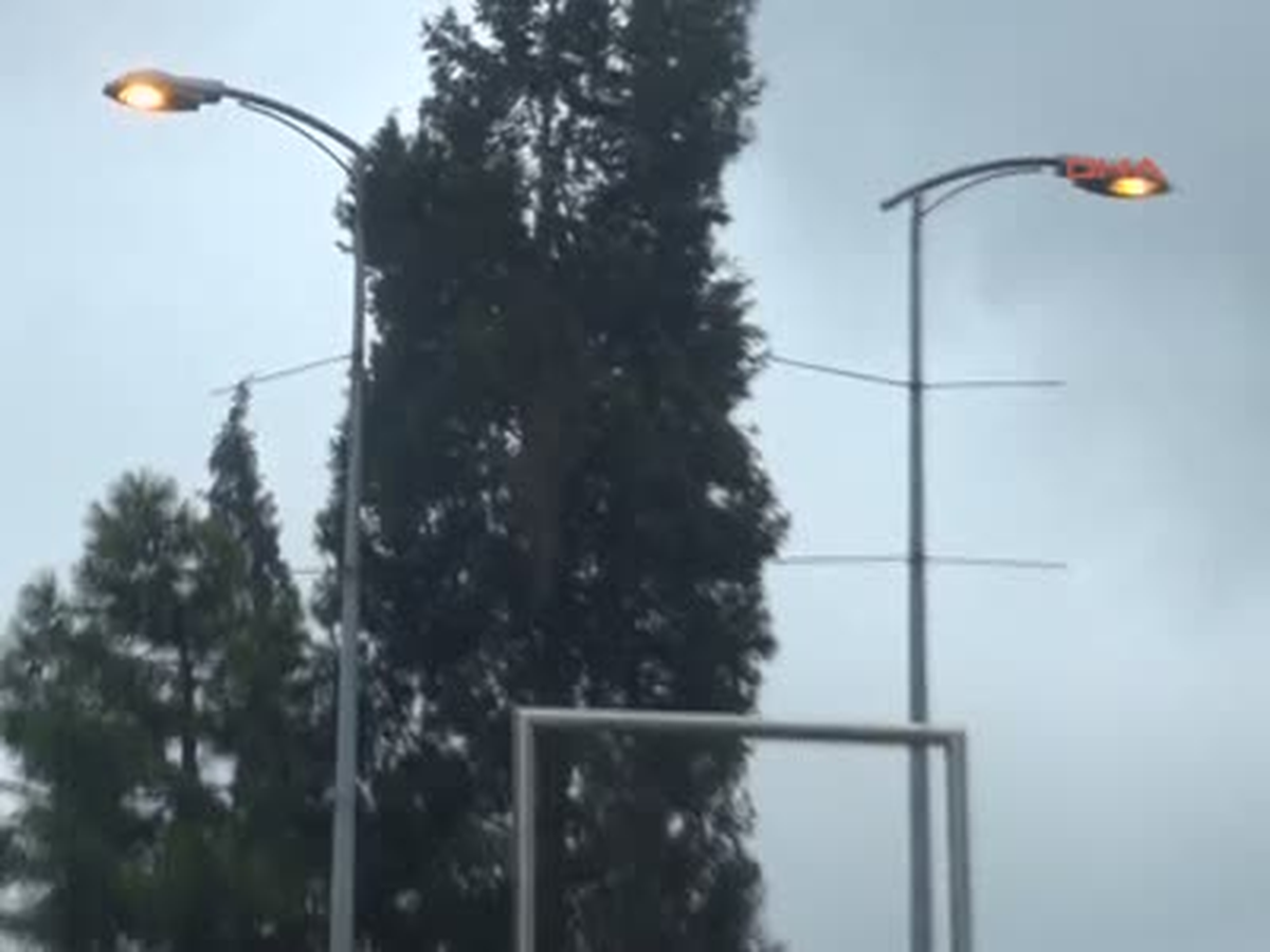 Bartın Muhabiri Şaşırtan An