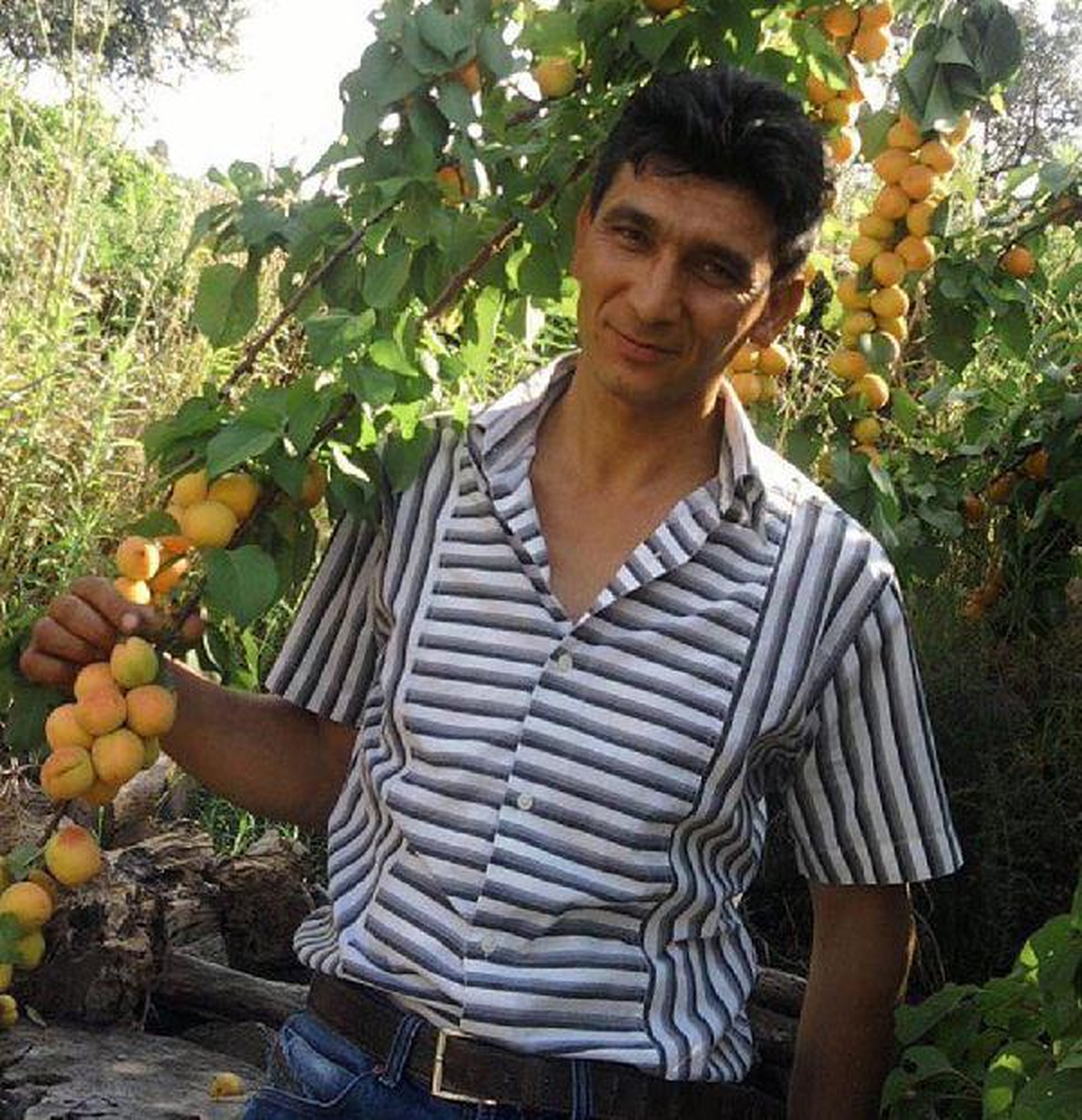 Başhekim Var: Şiddetin Başka Boyutu