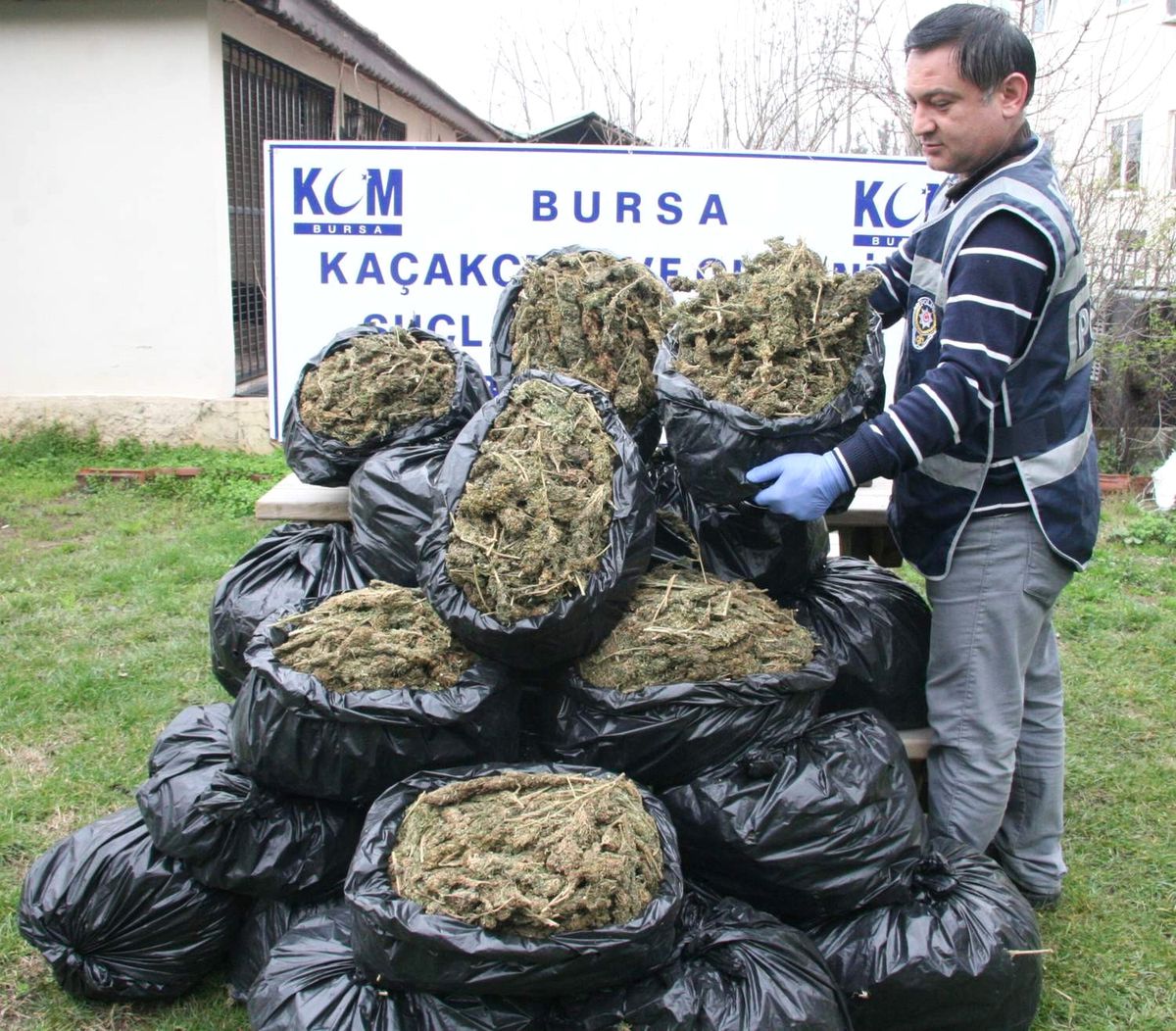 Bursa\'da 63 Kilo Esrar Ele Geçirildi
